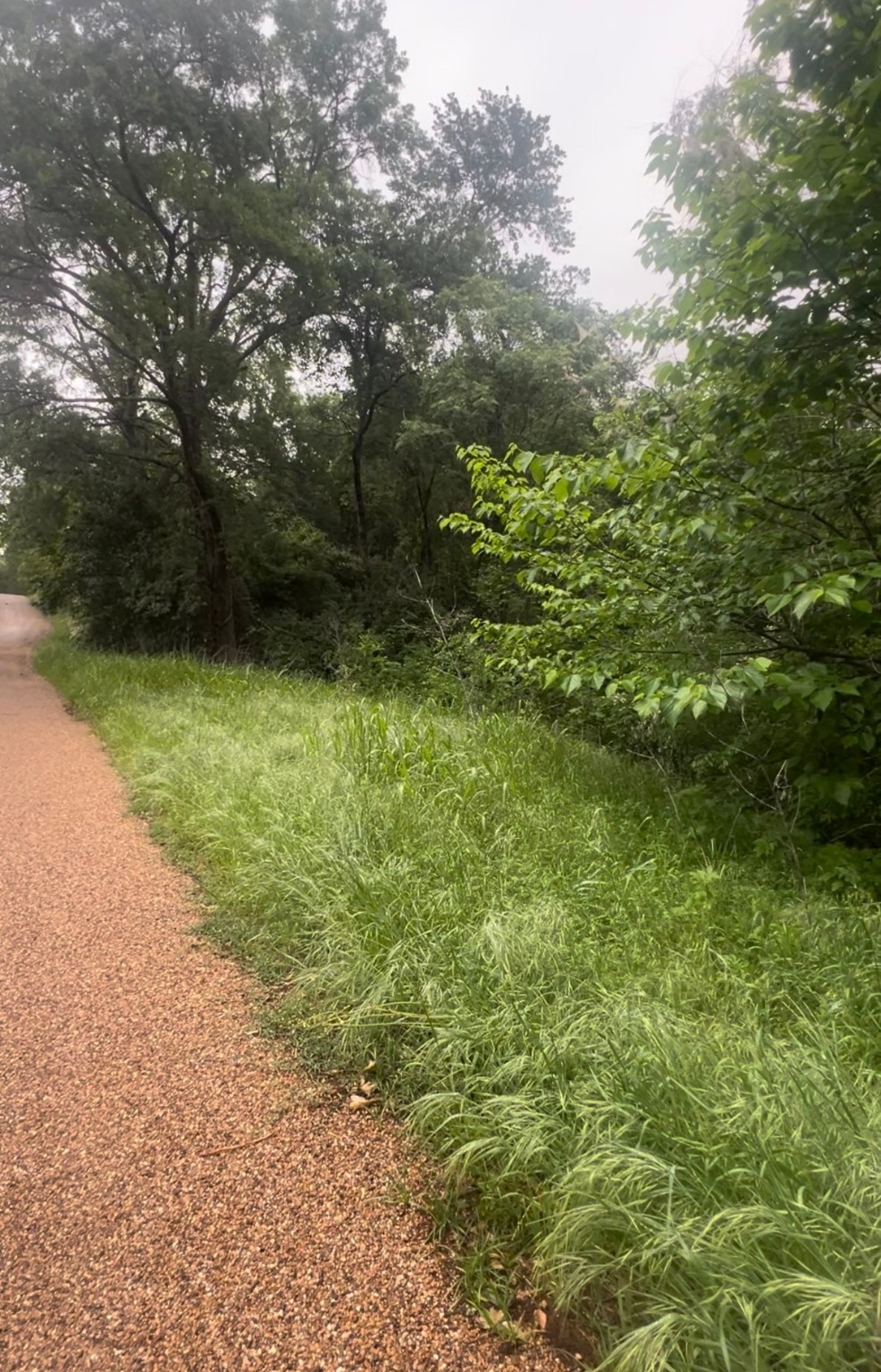 000 Cartwright Drive