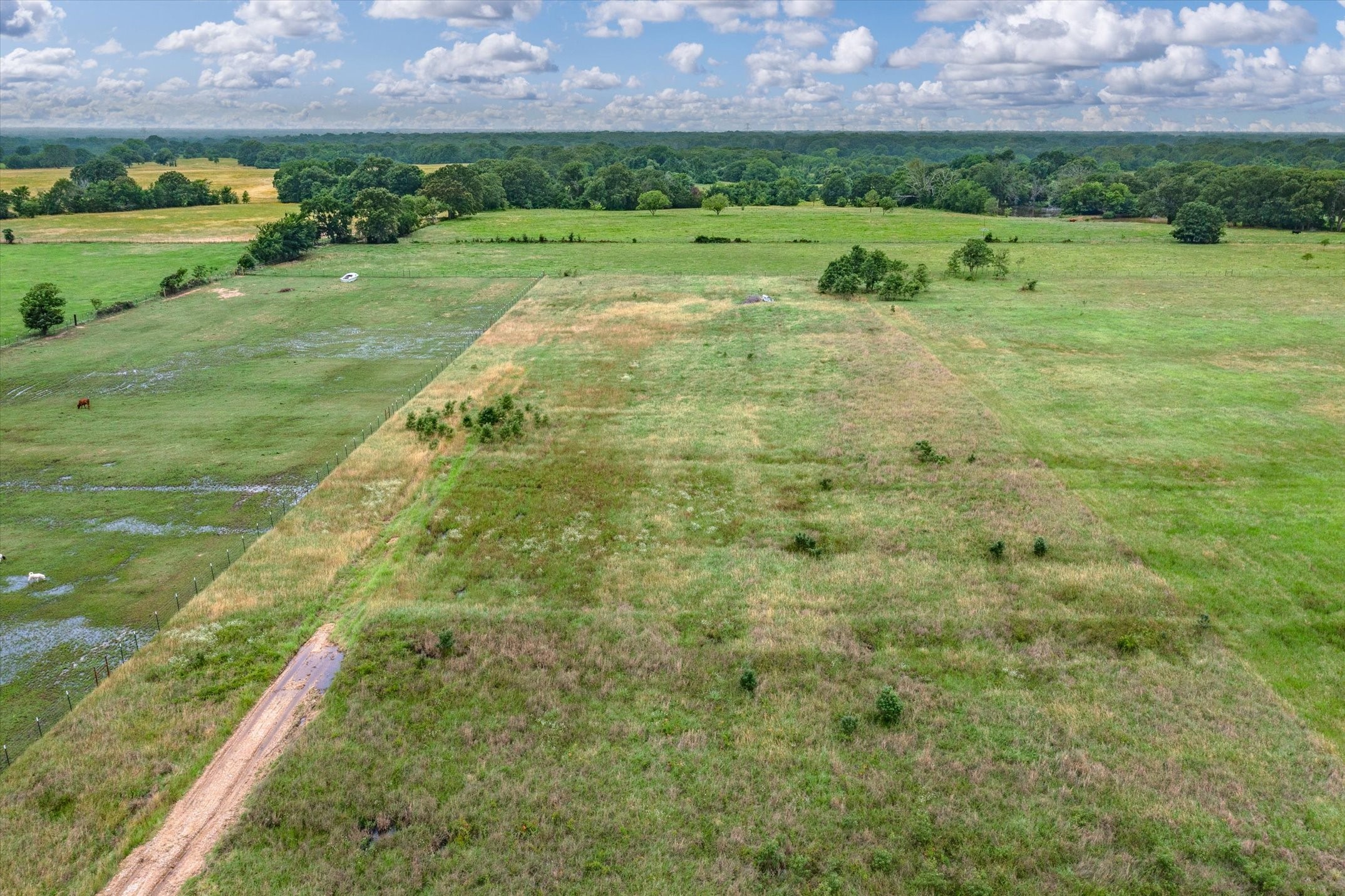 11745 County Road 2429
