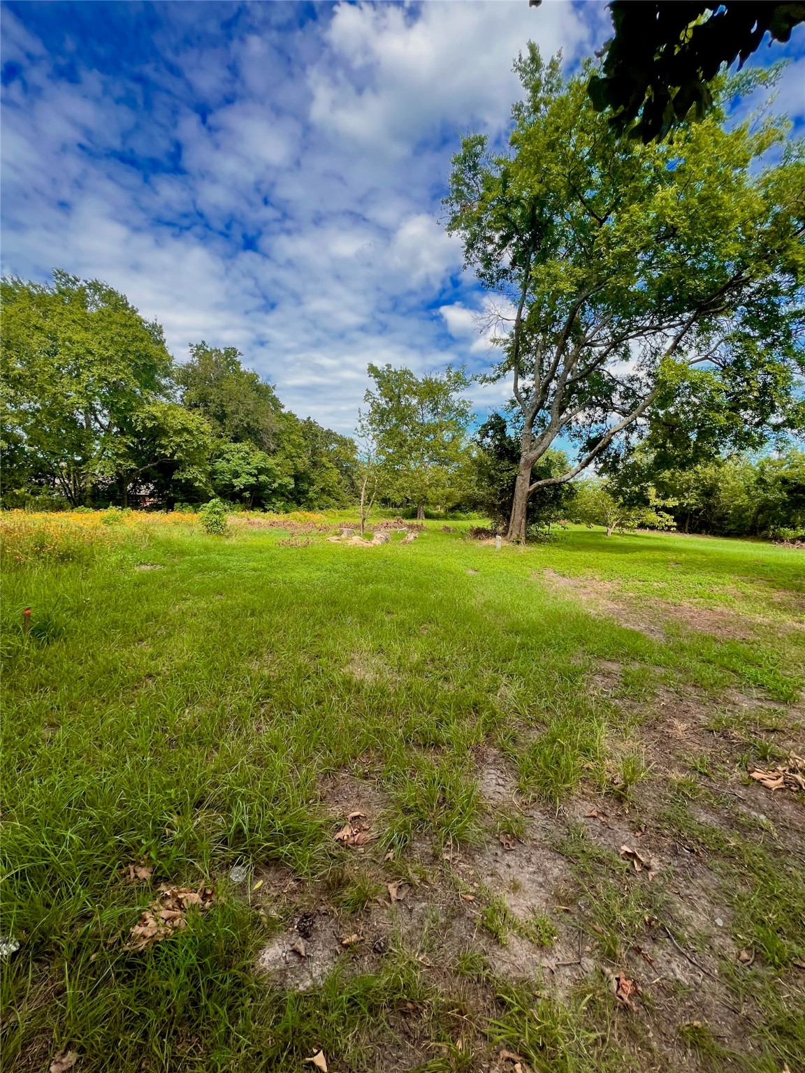 Lot 23 Simms Street
