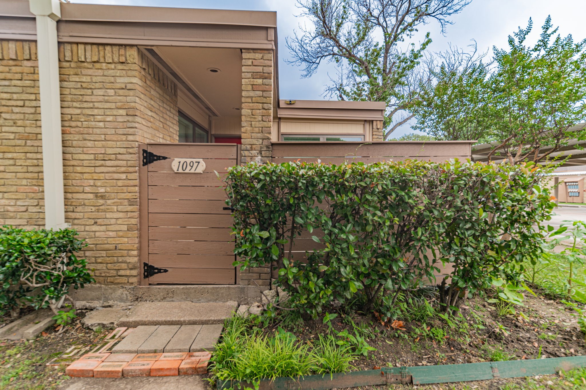 3121 Park Lane
