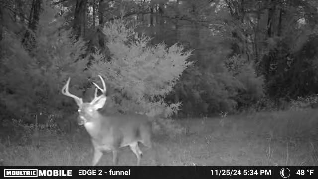 TBD VZ County RD 4106