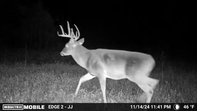 TBD VZ County RD 4106