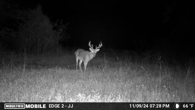 TBD VZ County RD 4106