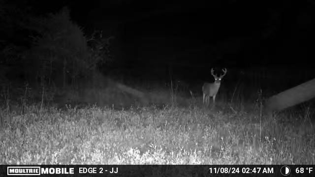 TBD VZ County RD 4106