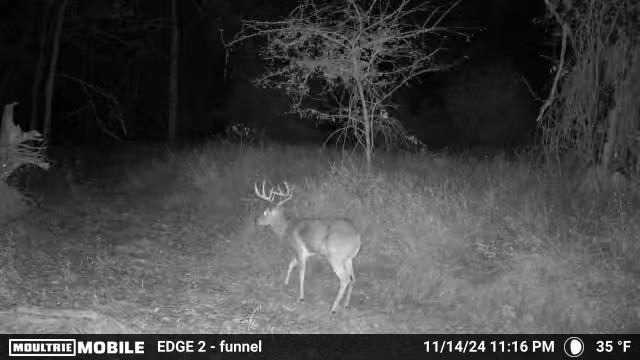 TBD VZ County RD 4106