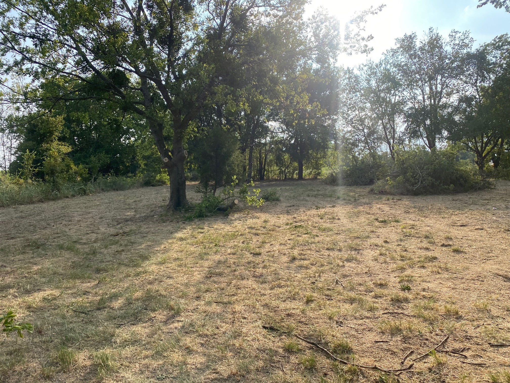 Lot 227 Choctaw Trail