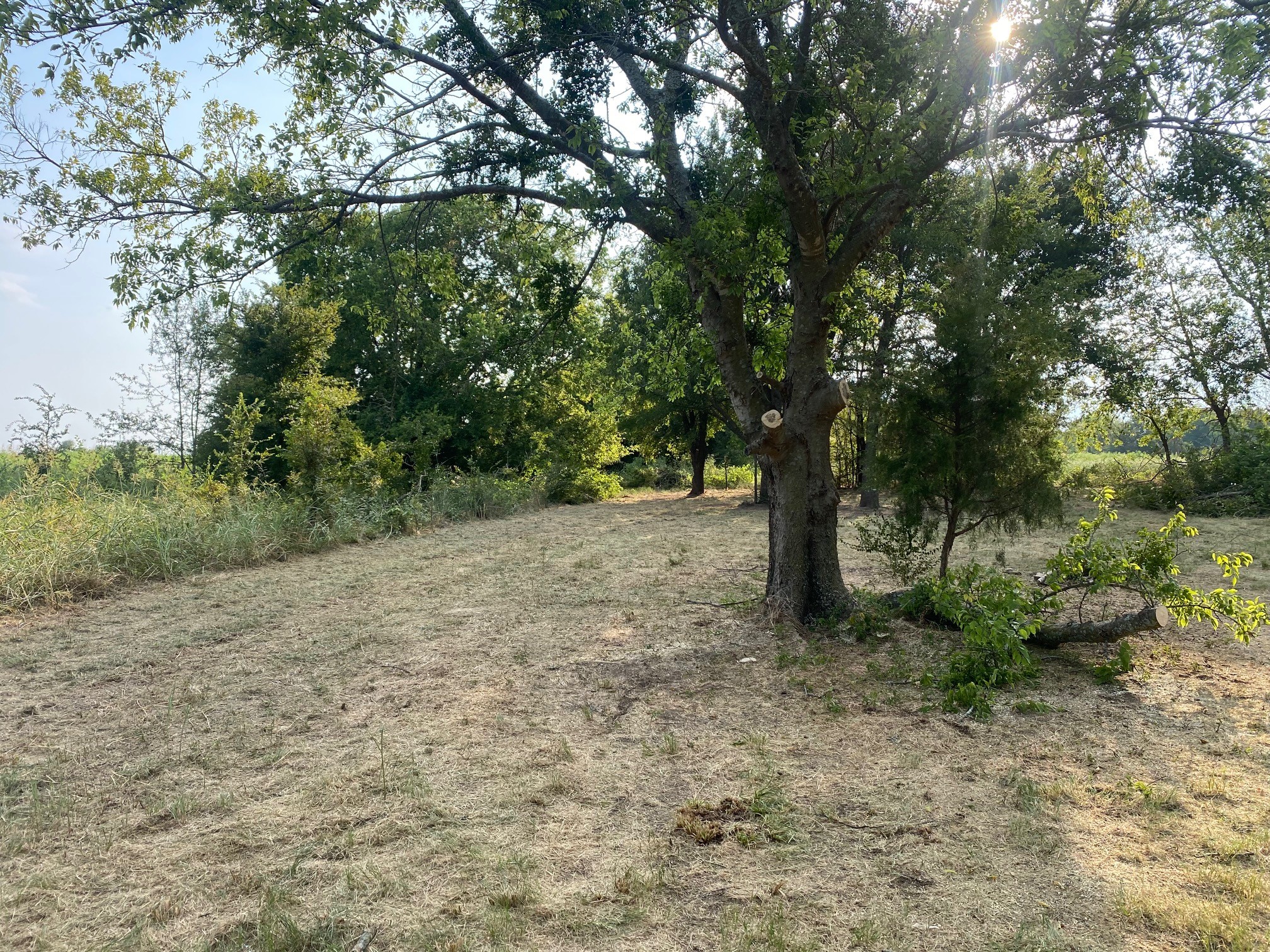 Lot 227 Choctaw Trail