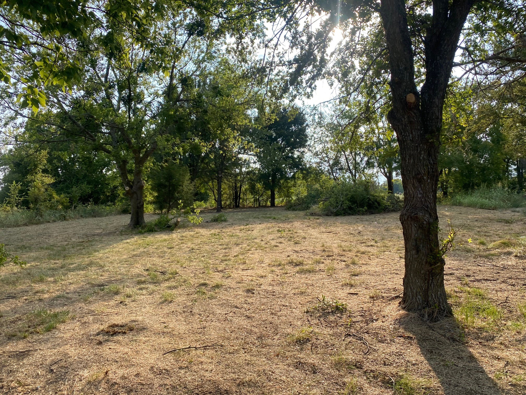 Lot 227 Choctaw Trail