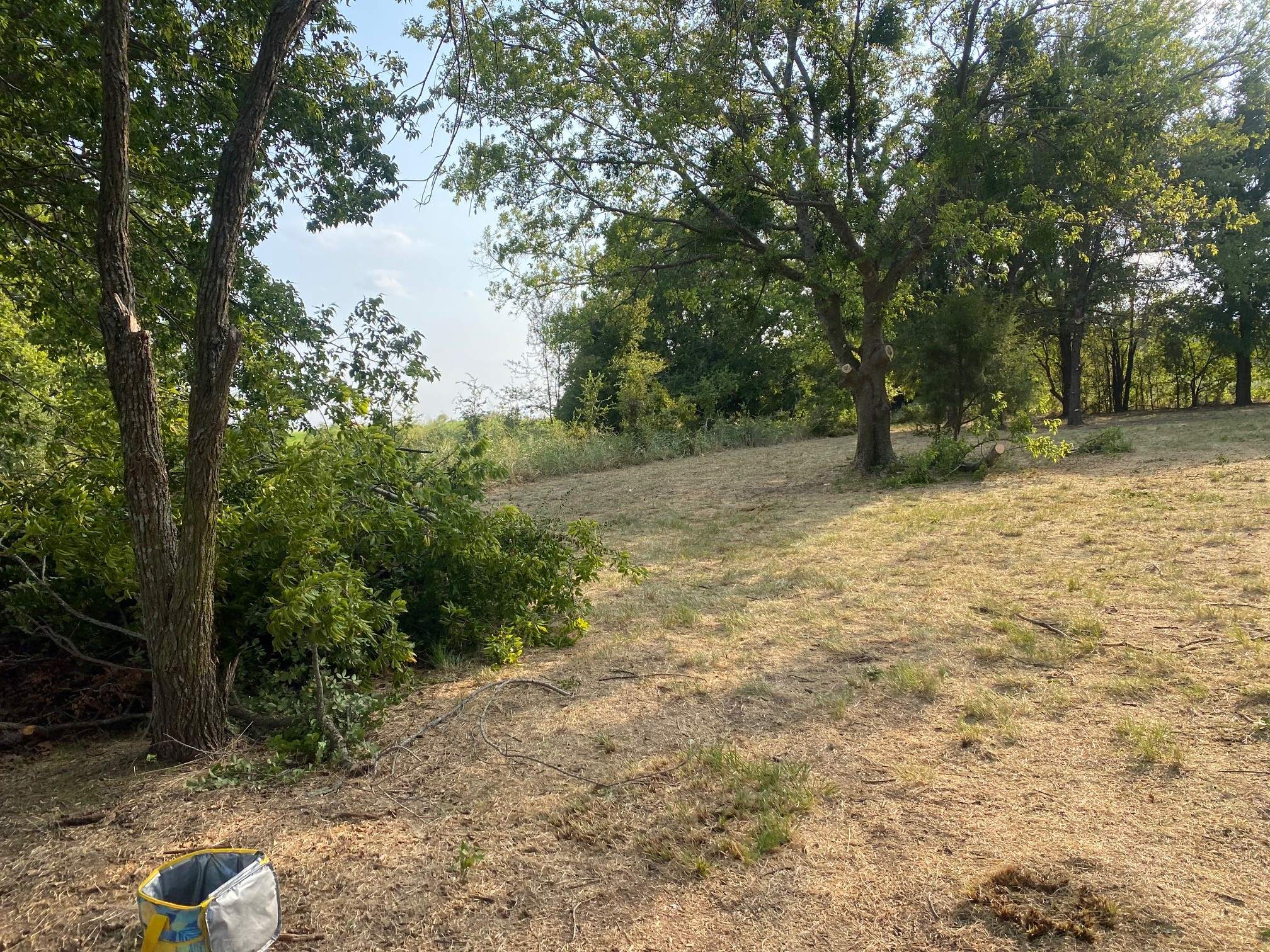 Lot 227 Choctaw Trail
