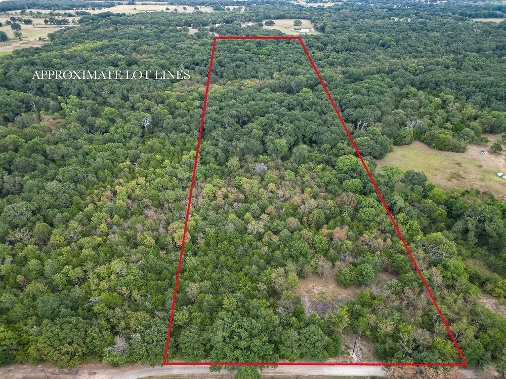 TBD County Road 4460