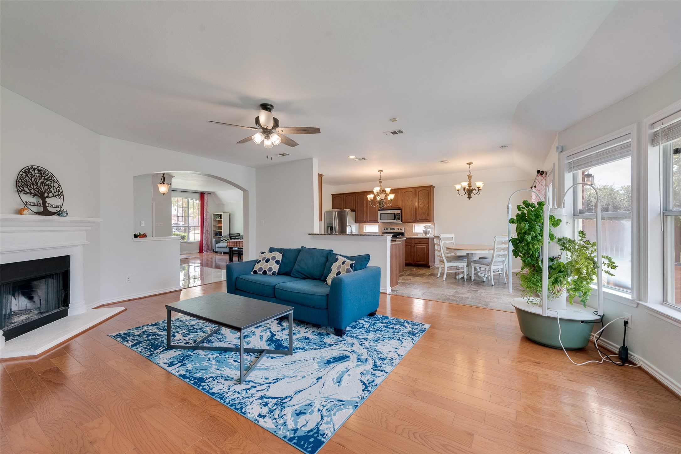 343 Alamo Court