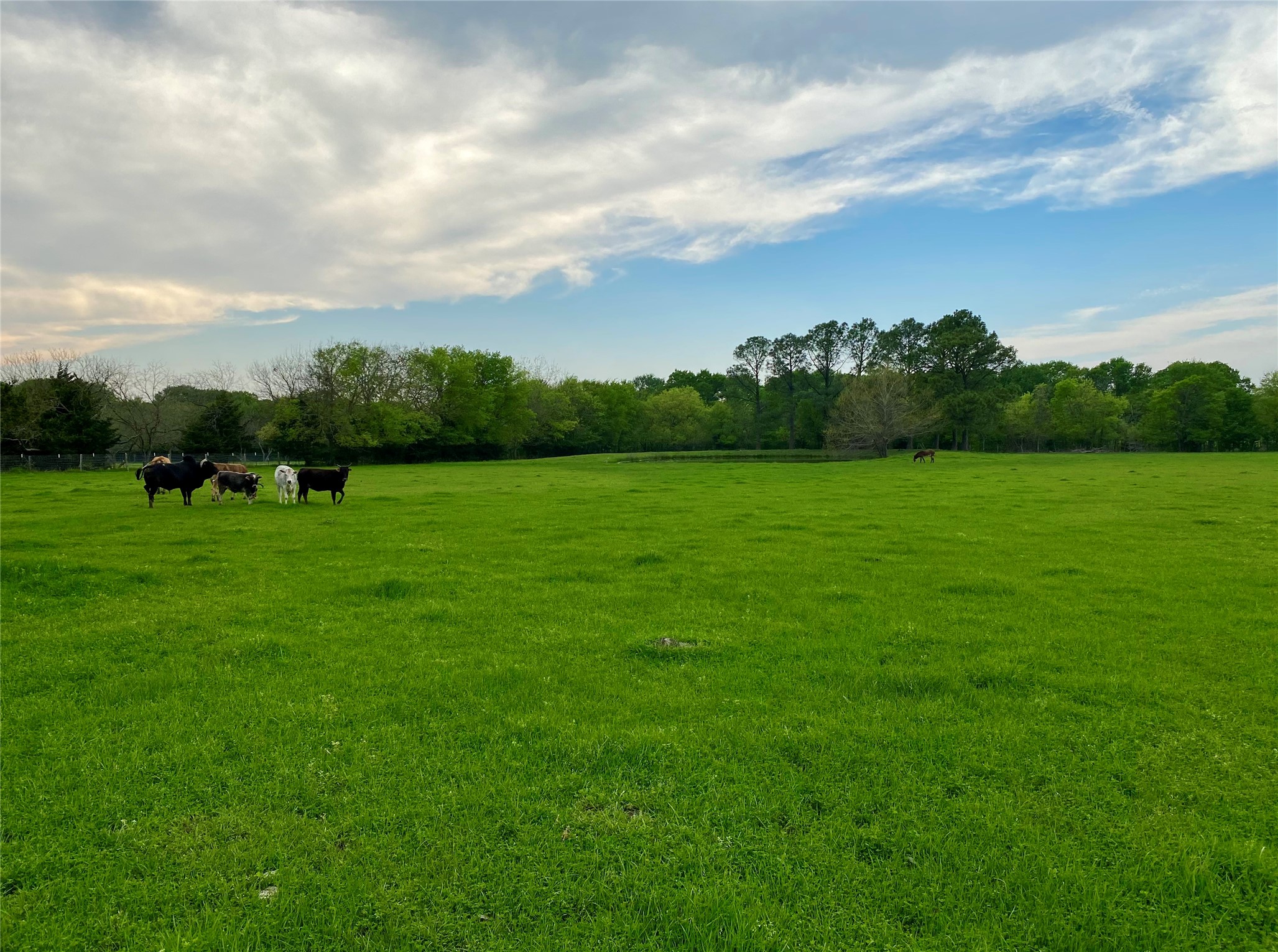 7984 County road 2582