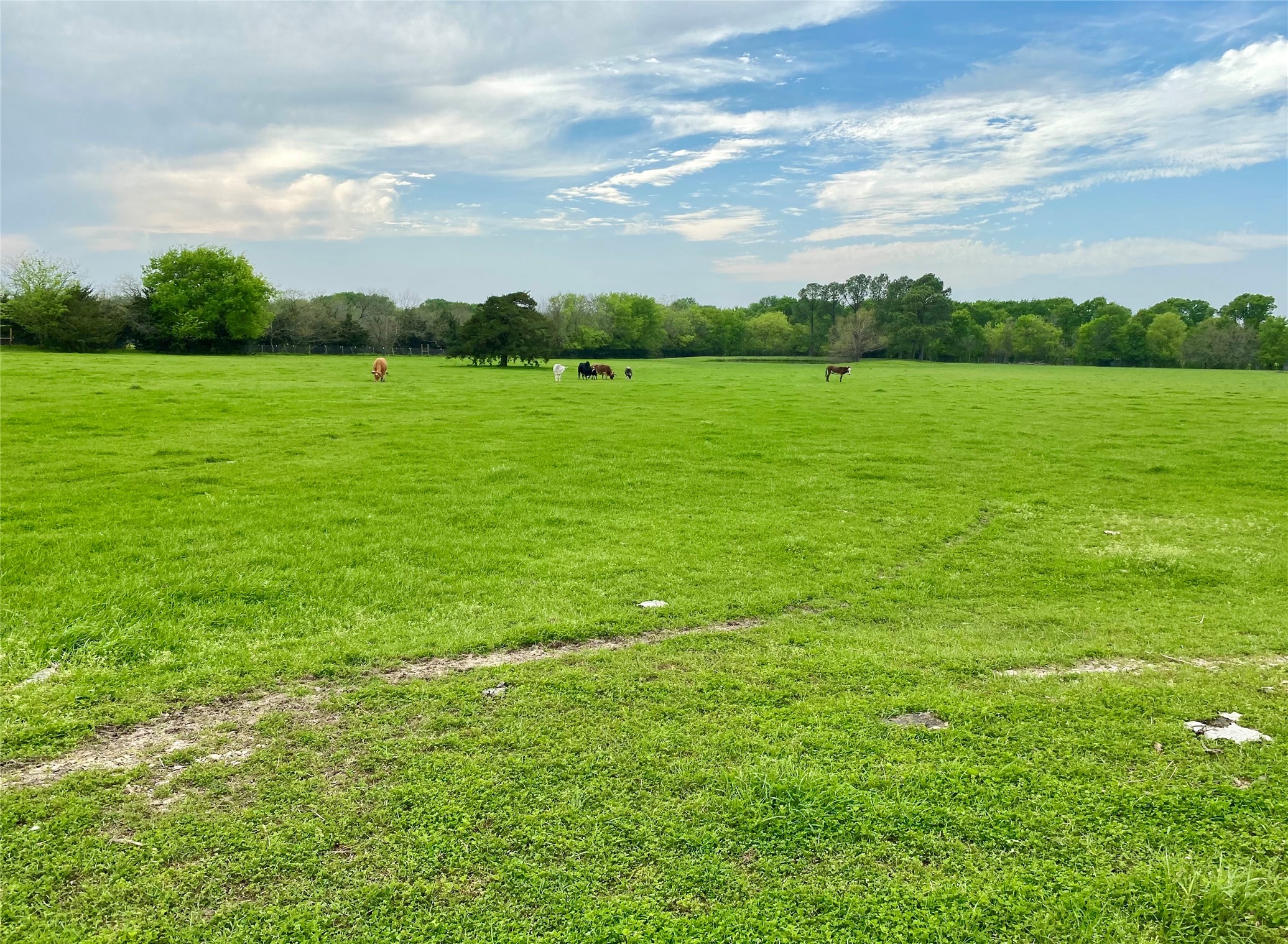 7984 County road 2582
