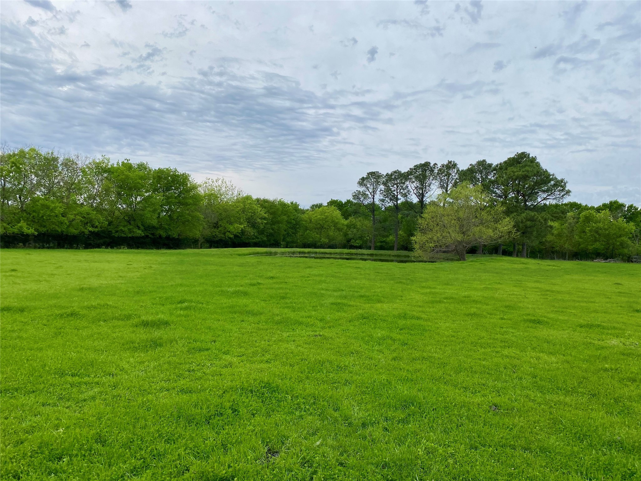 7984 County road 2582