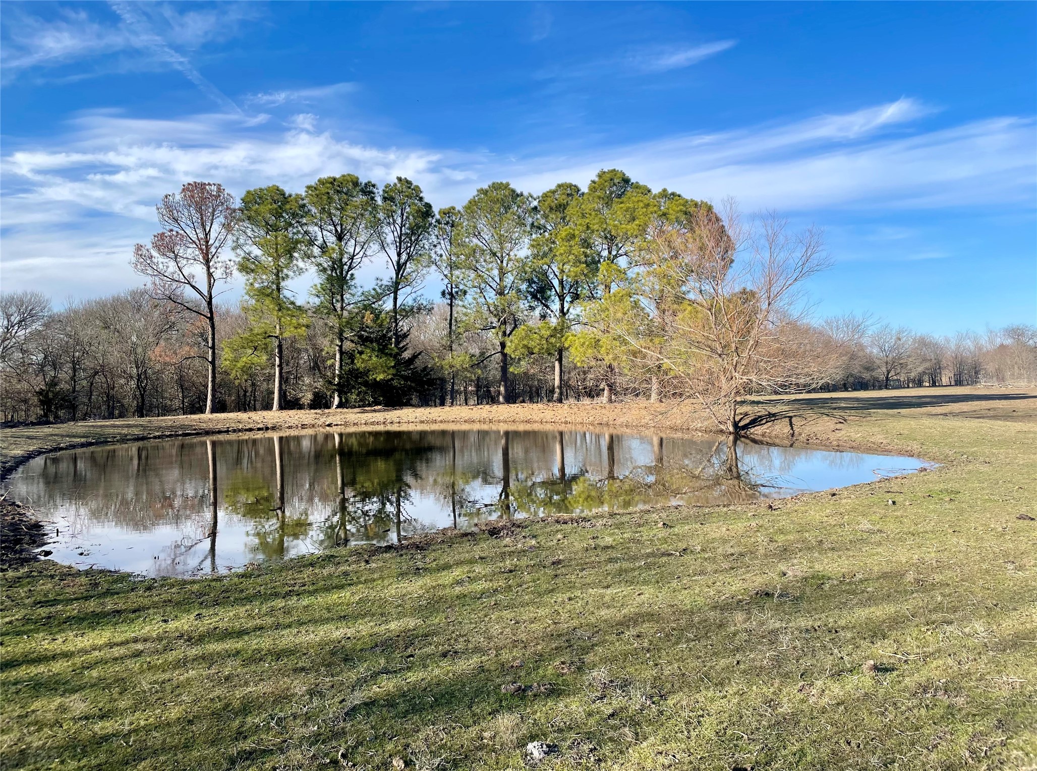 7984 County road 2582