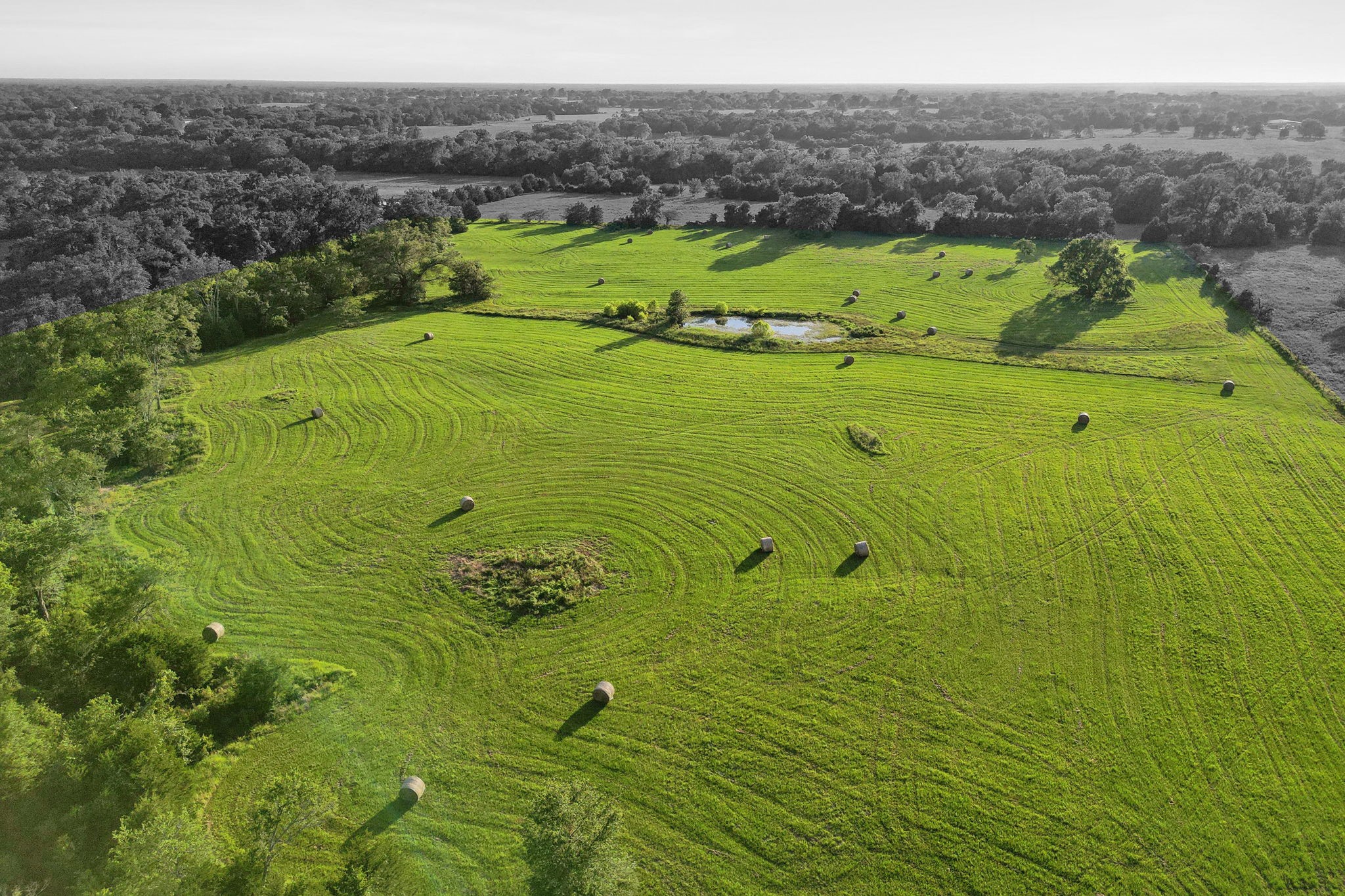 2584 County Road 1171