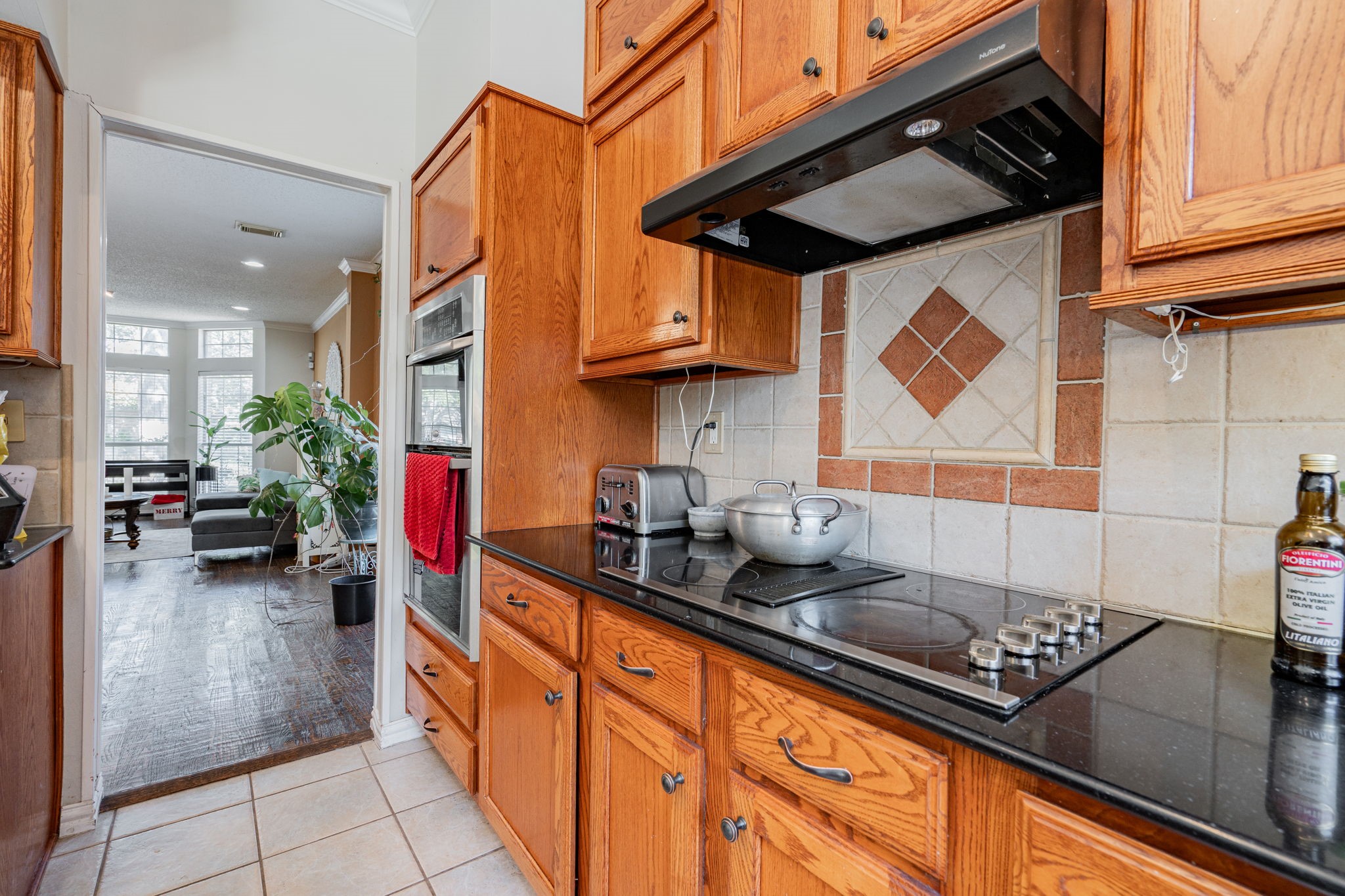 339 Spanish Moss Drive