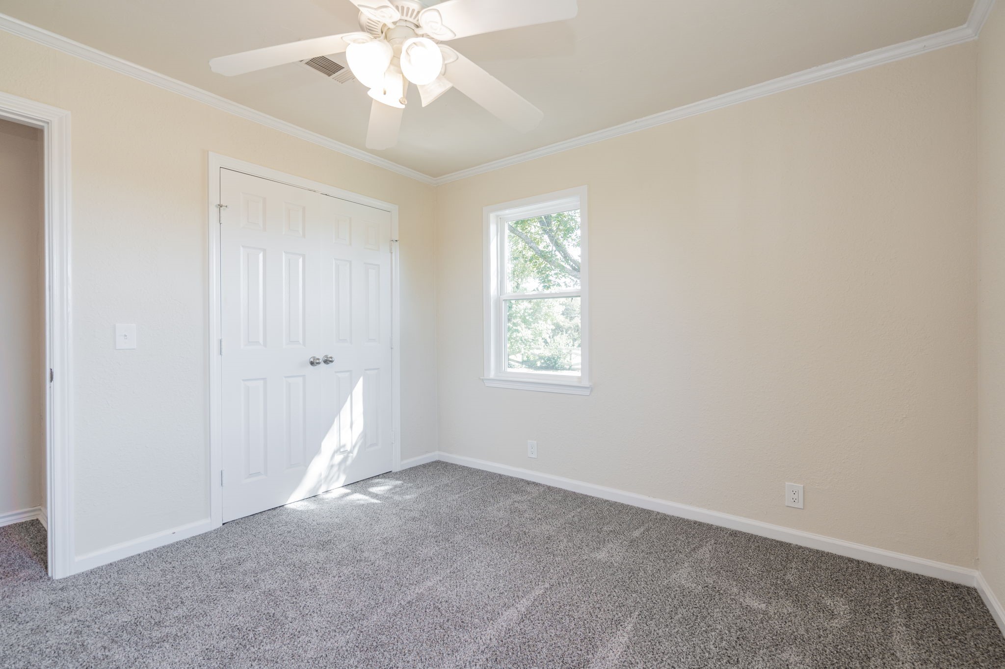 1151 County Road 249