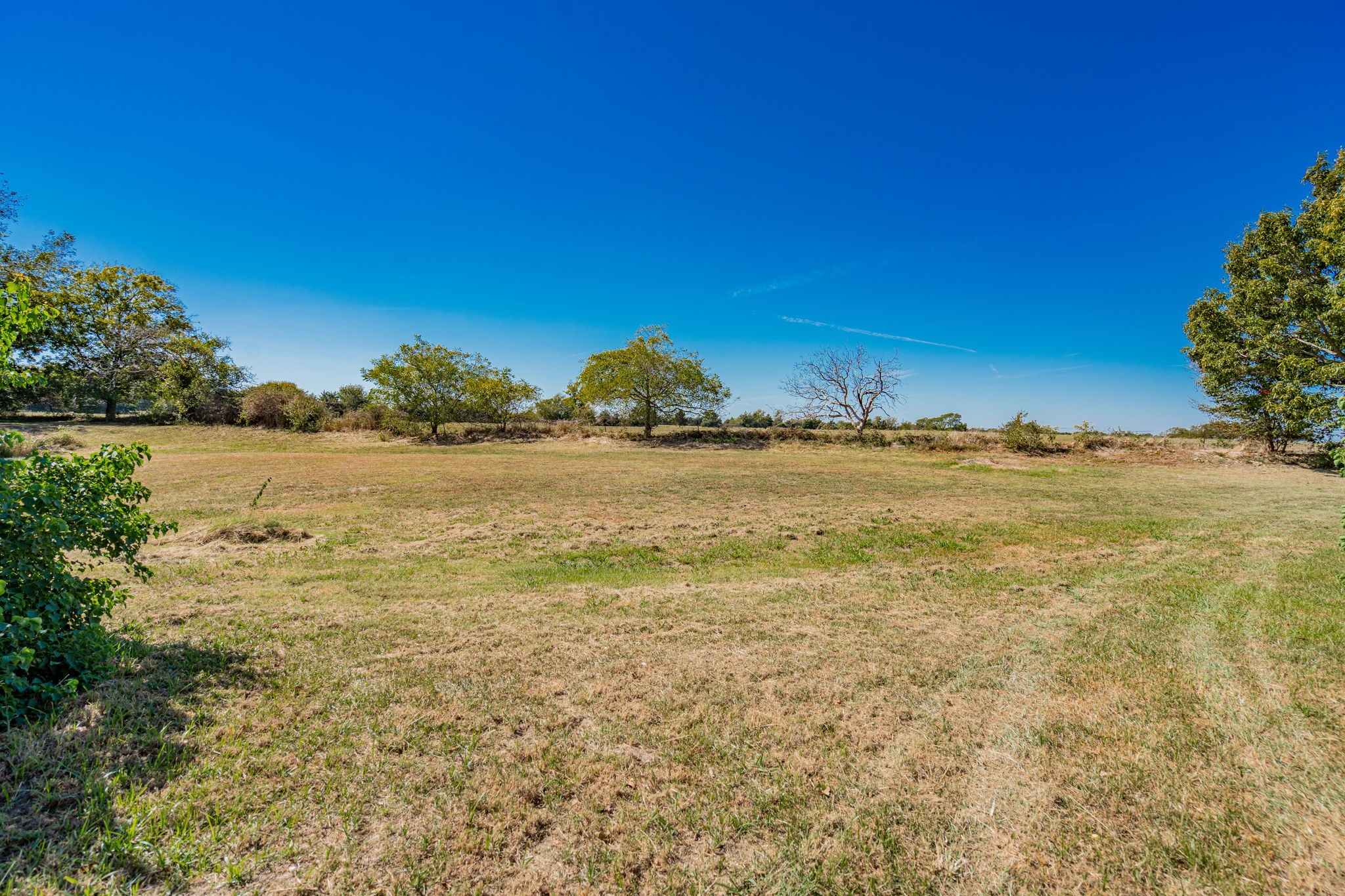 1151 County Road 249
