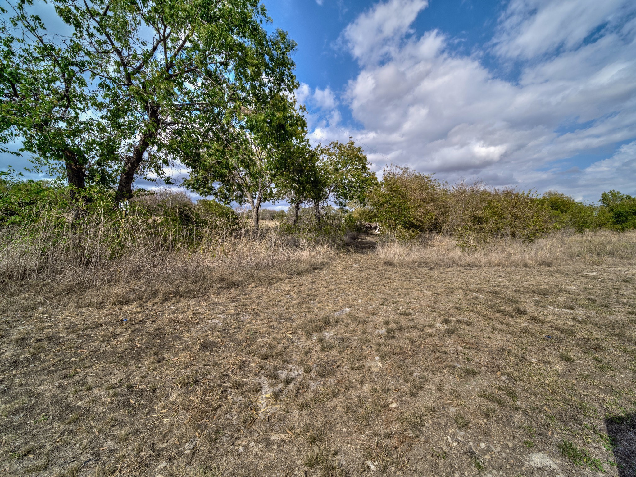 11916 Forest Lawn Road