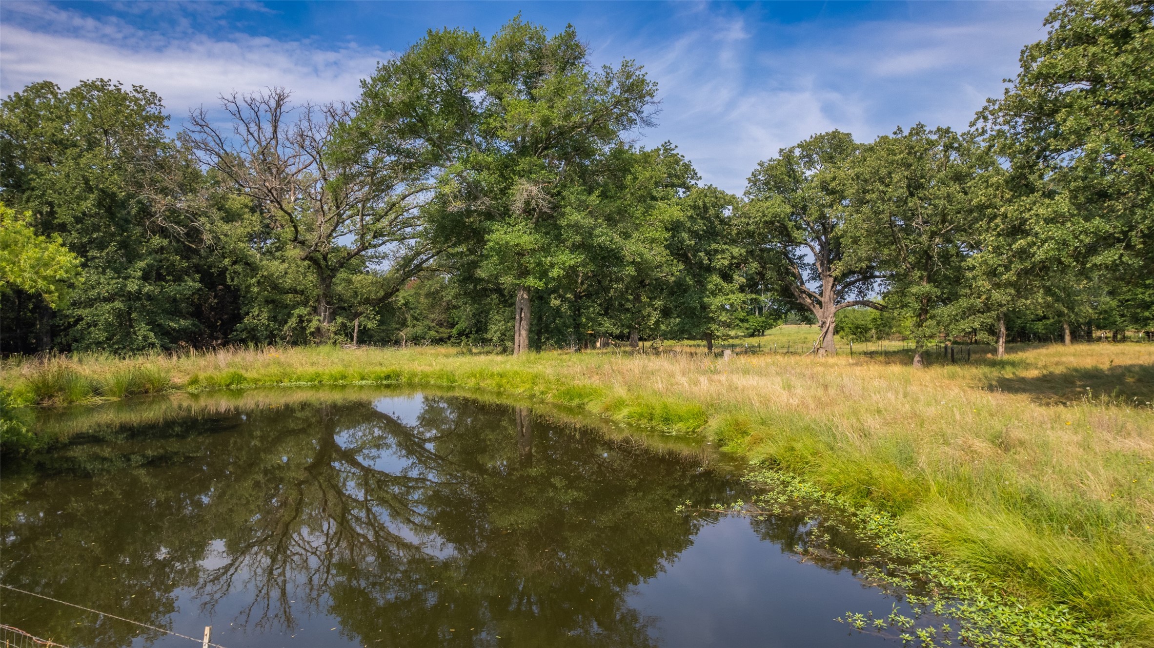 TBD Rs County Road 1411 Road