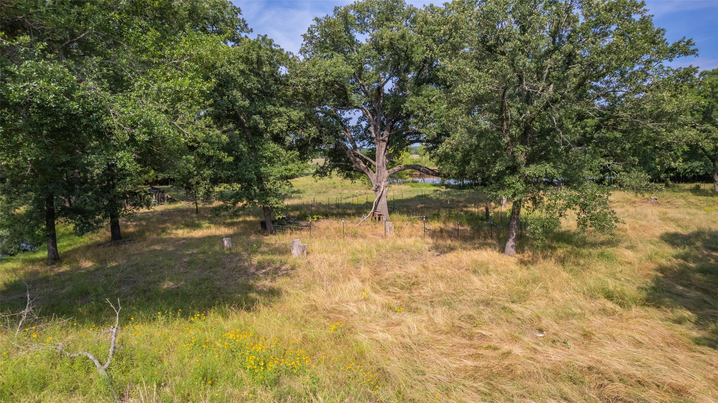 TBD Rs County Road 1411 Road