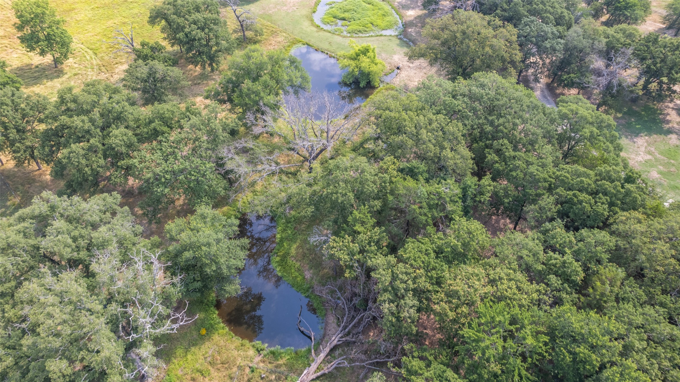 TBD Rs County Road 1411 Road