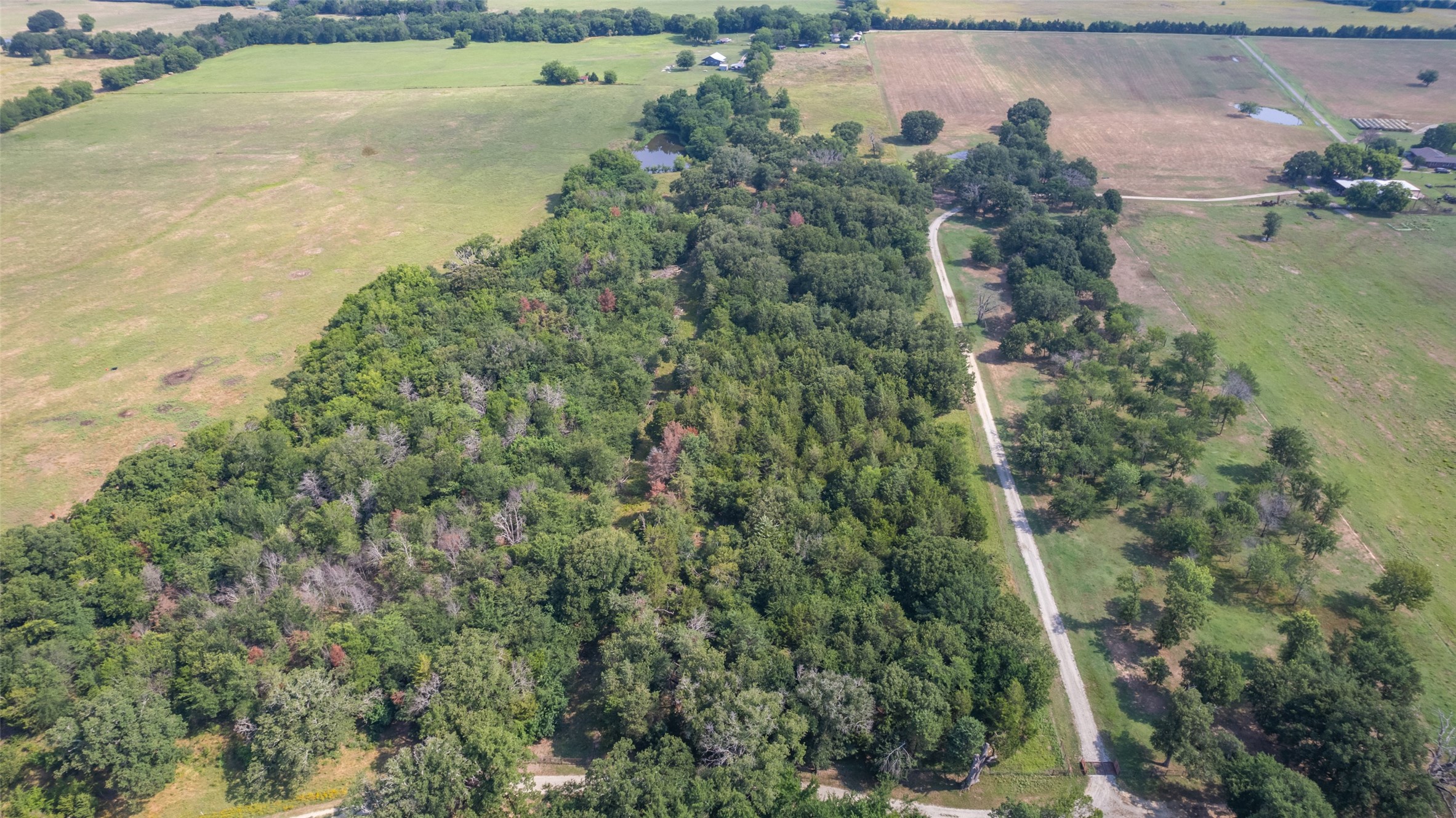 TBD Rs County Road 1411 Road