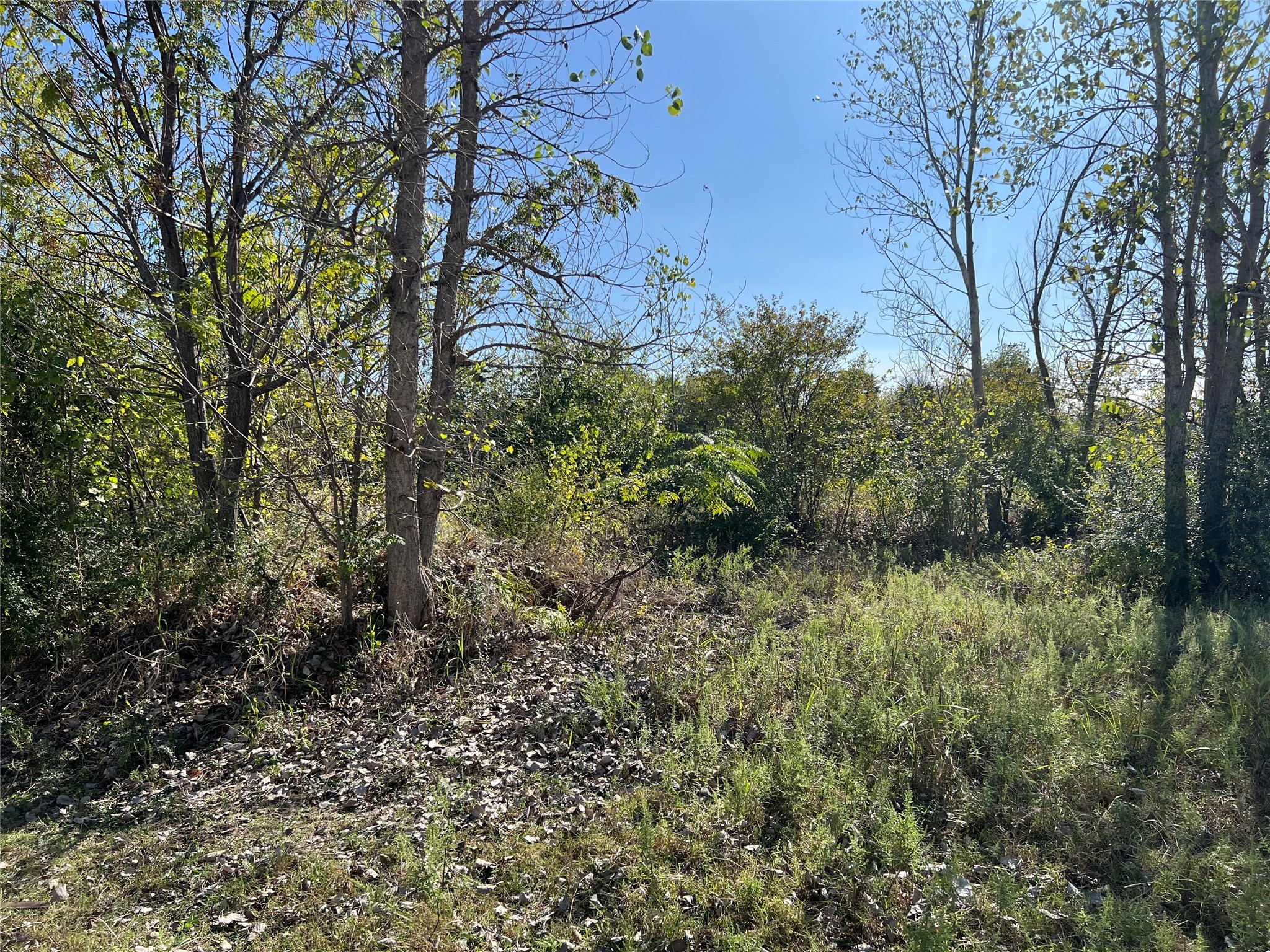 721 Murdock Road