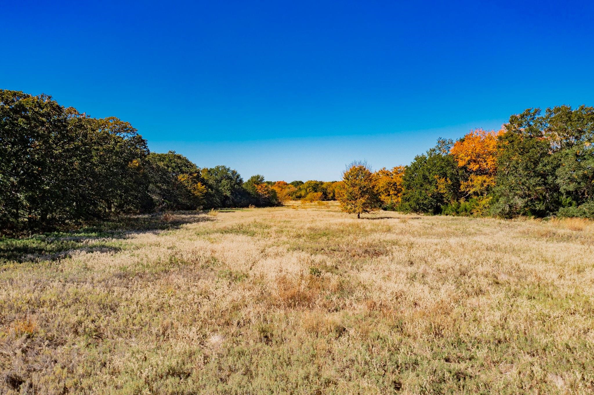 00 County Rd 3303