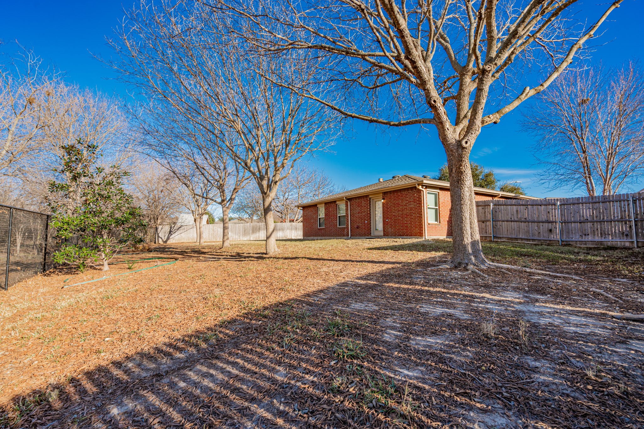 10366 Ector Drive