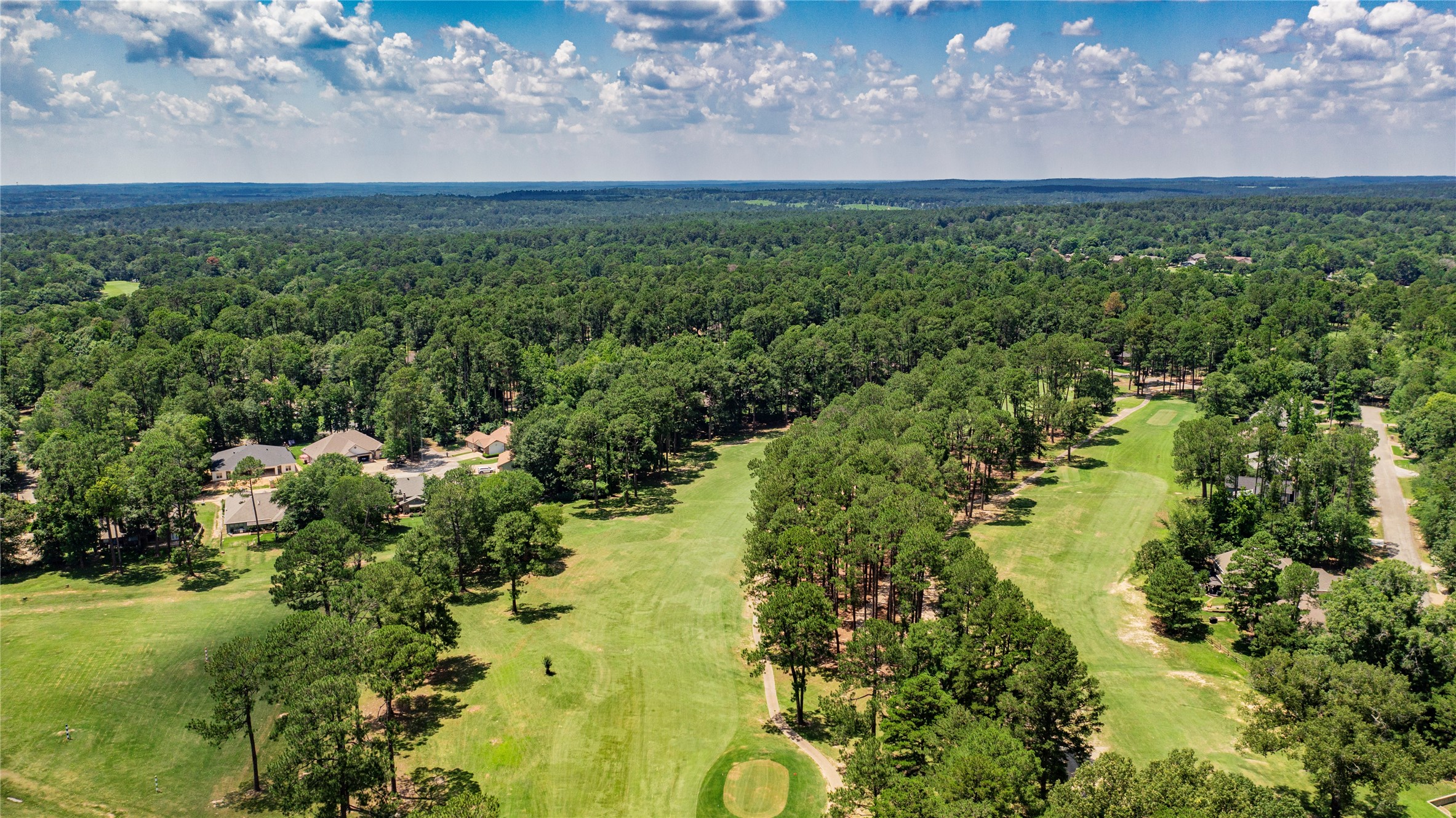 181 Pine Tree 101