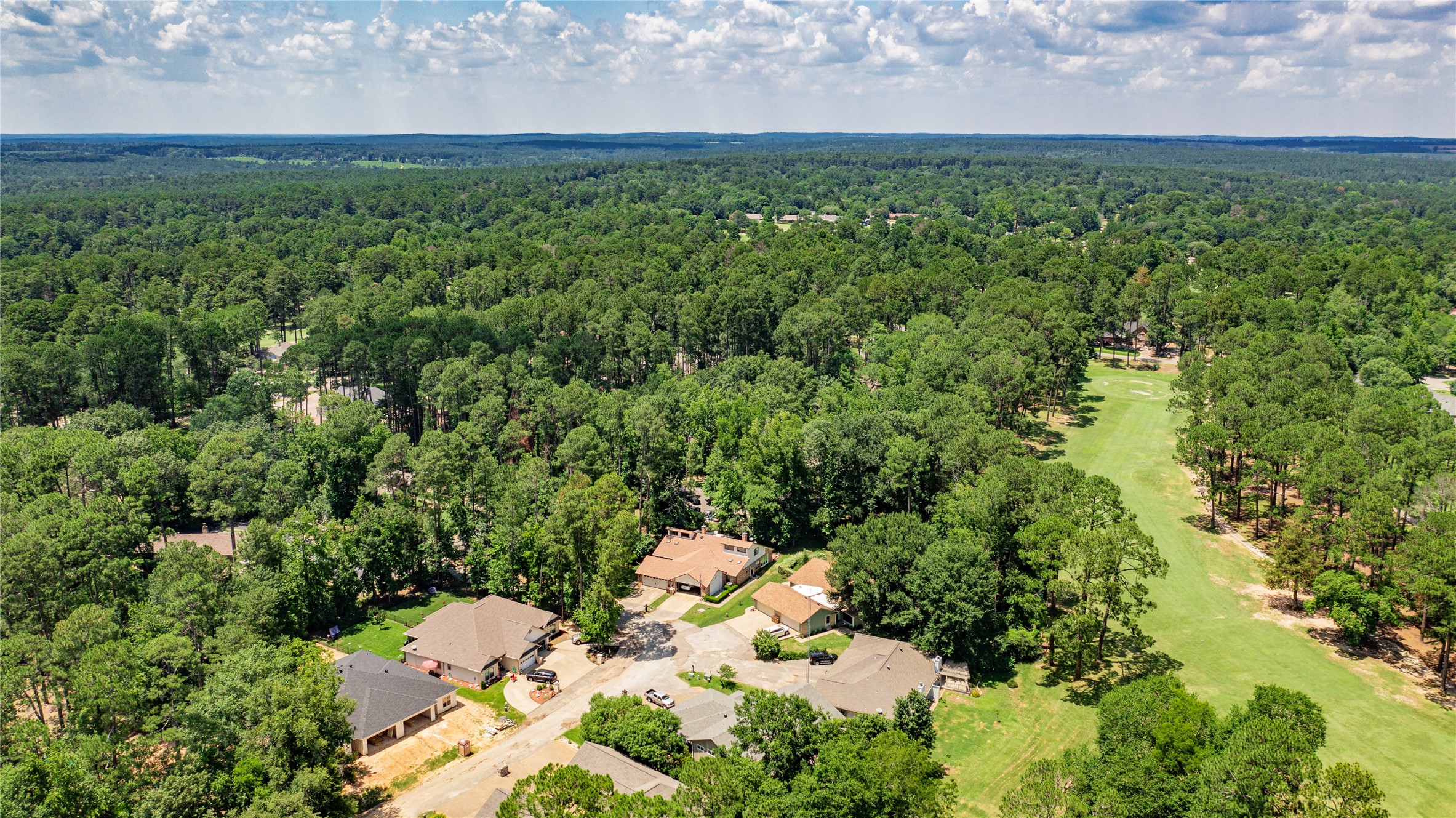 181 Pine Tree 101