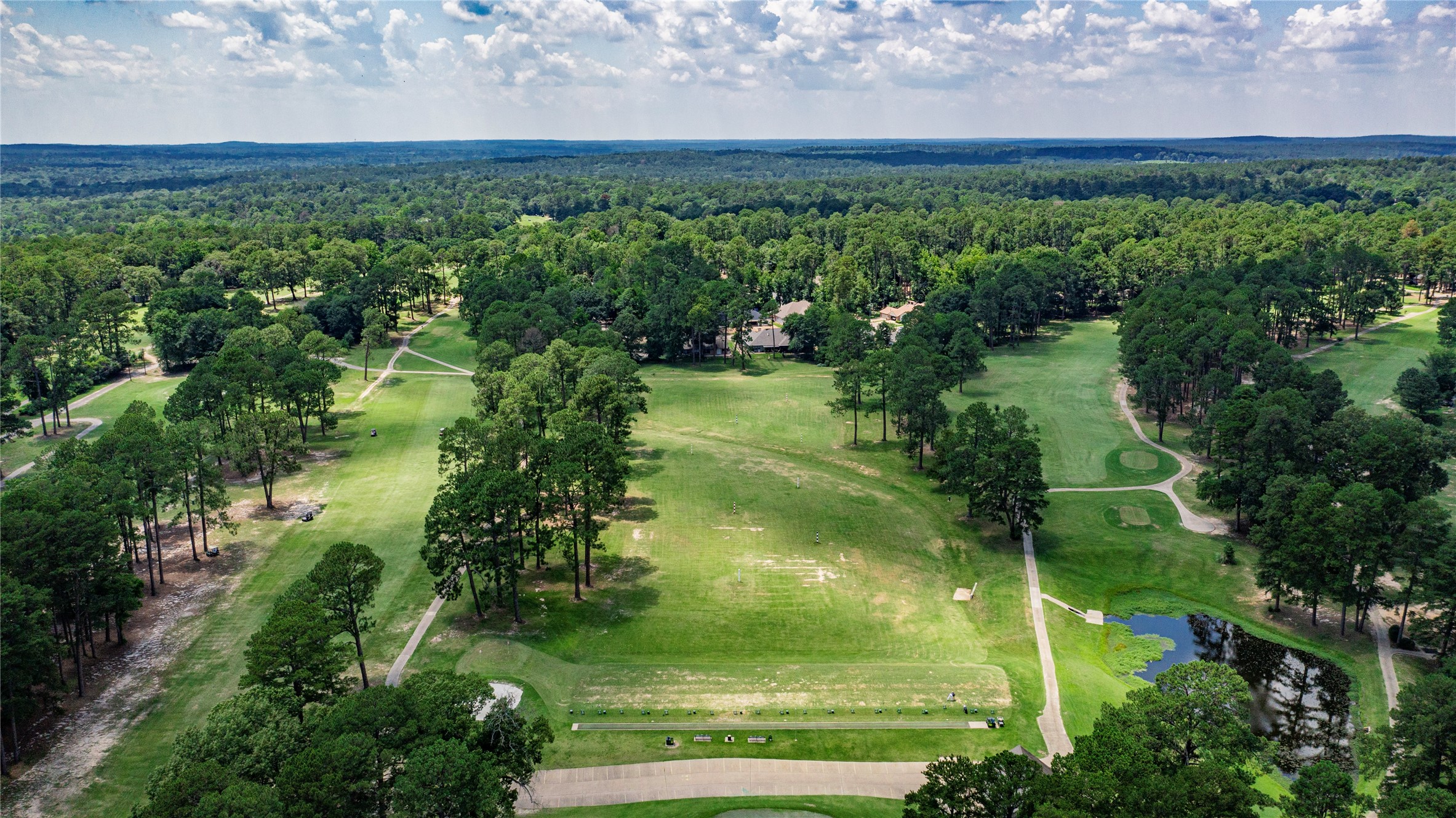 181 Pine Tree 101
