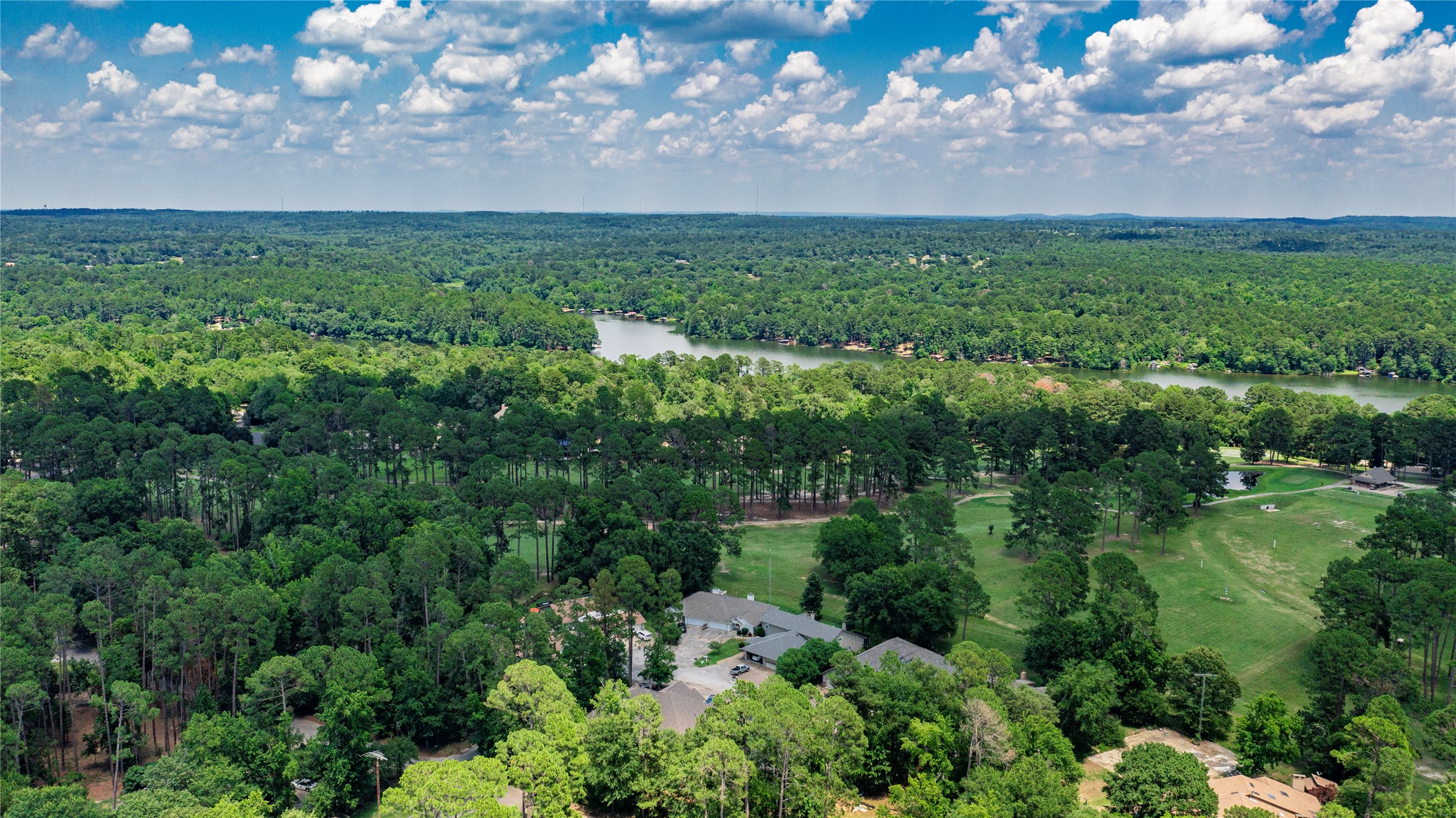 181 Pine Tree 101
