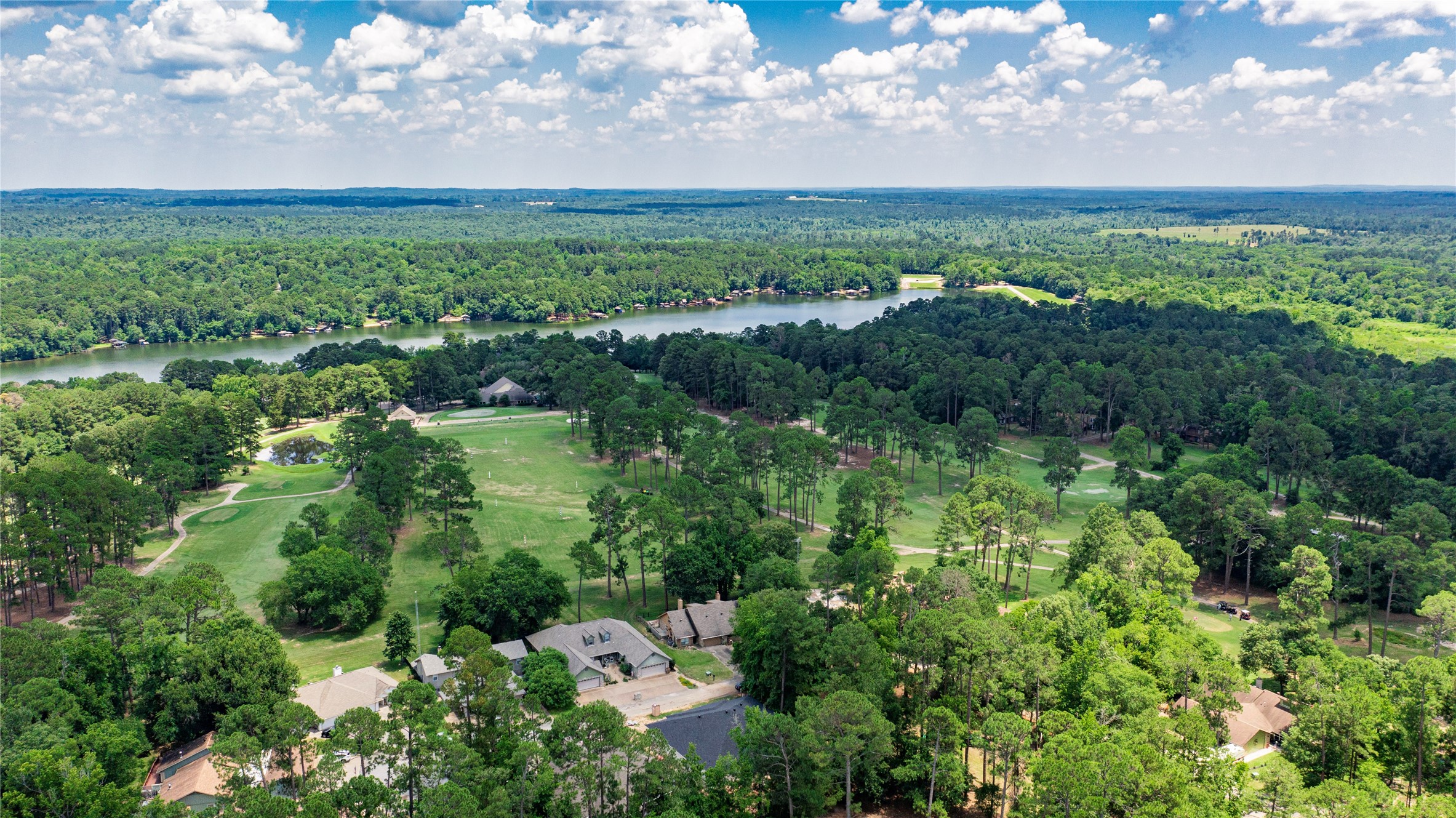 181 Pine Tree 101