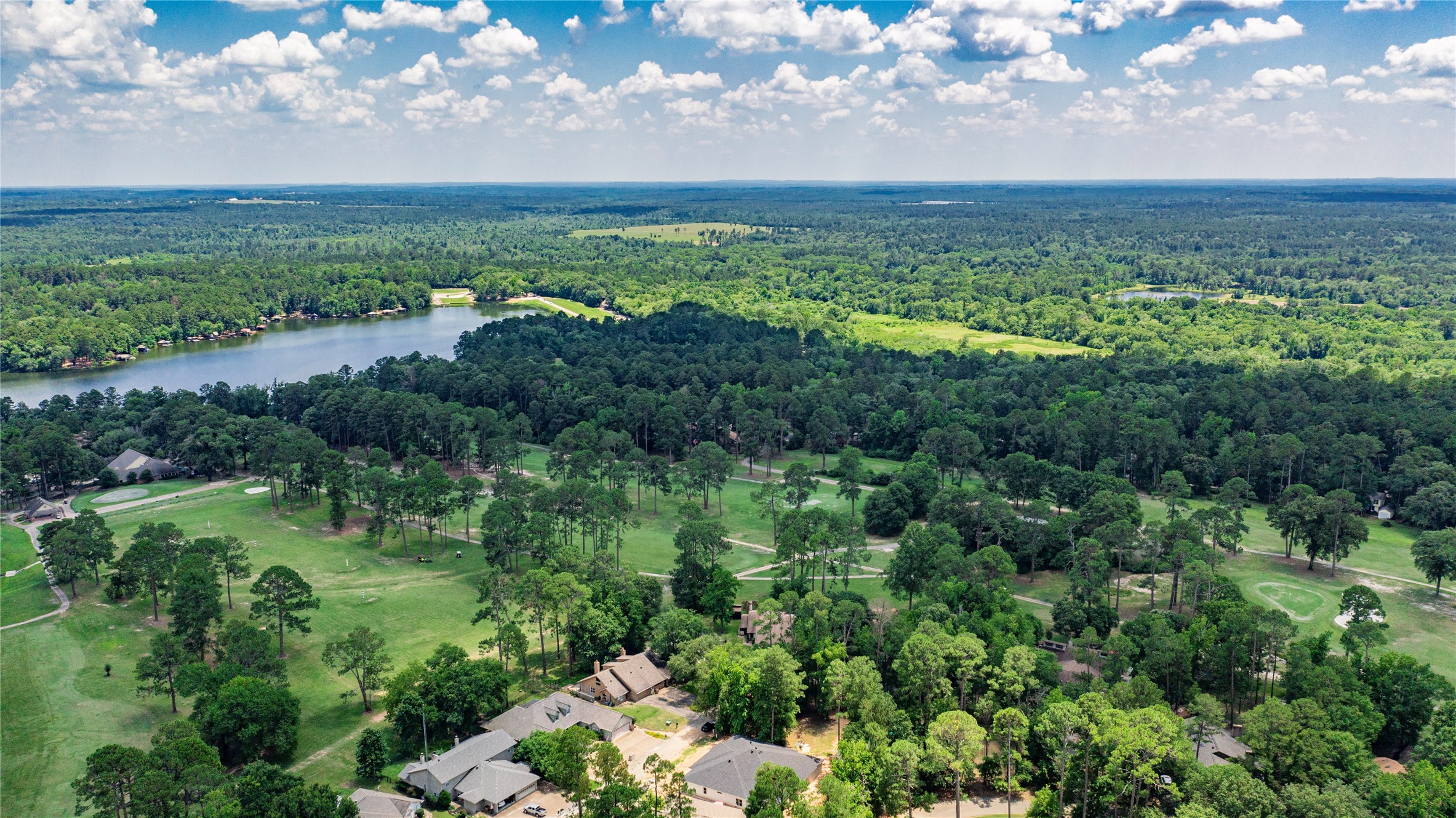 181 Pine Tree 101