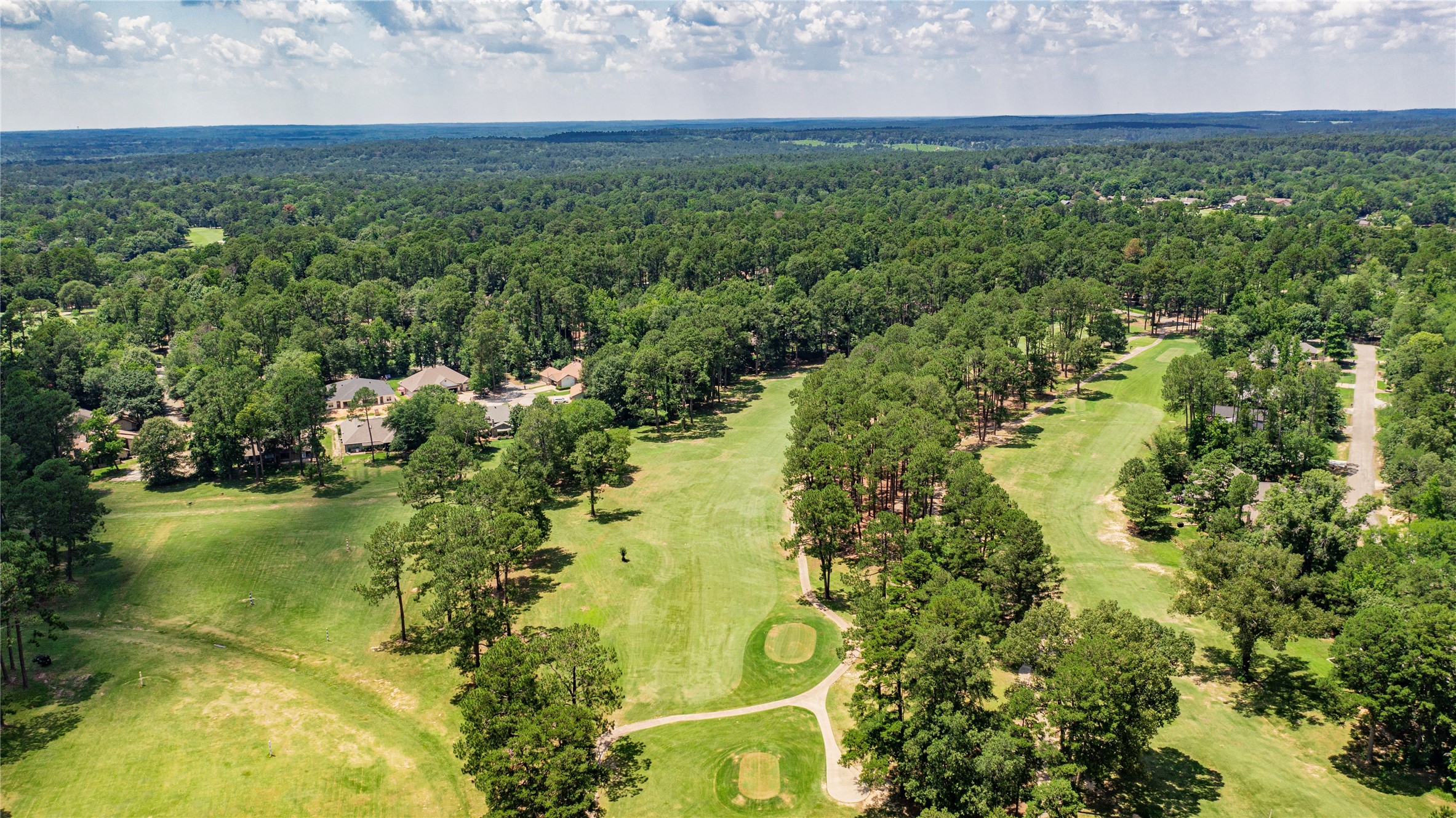 181 Pine Tree 101