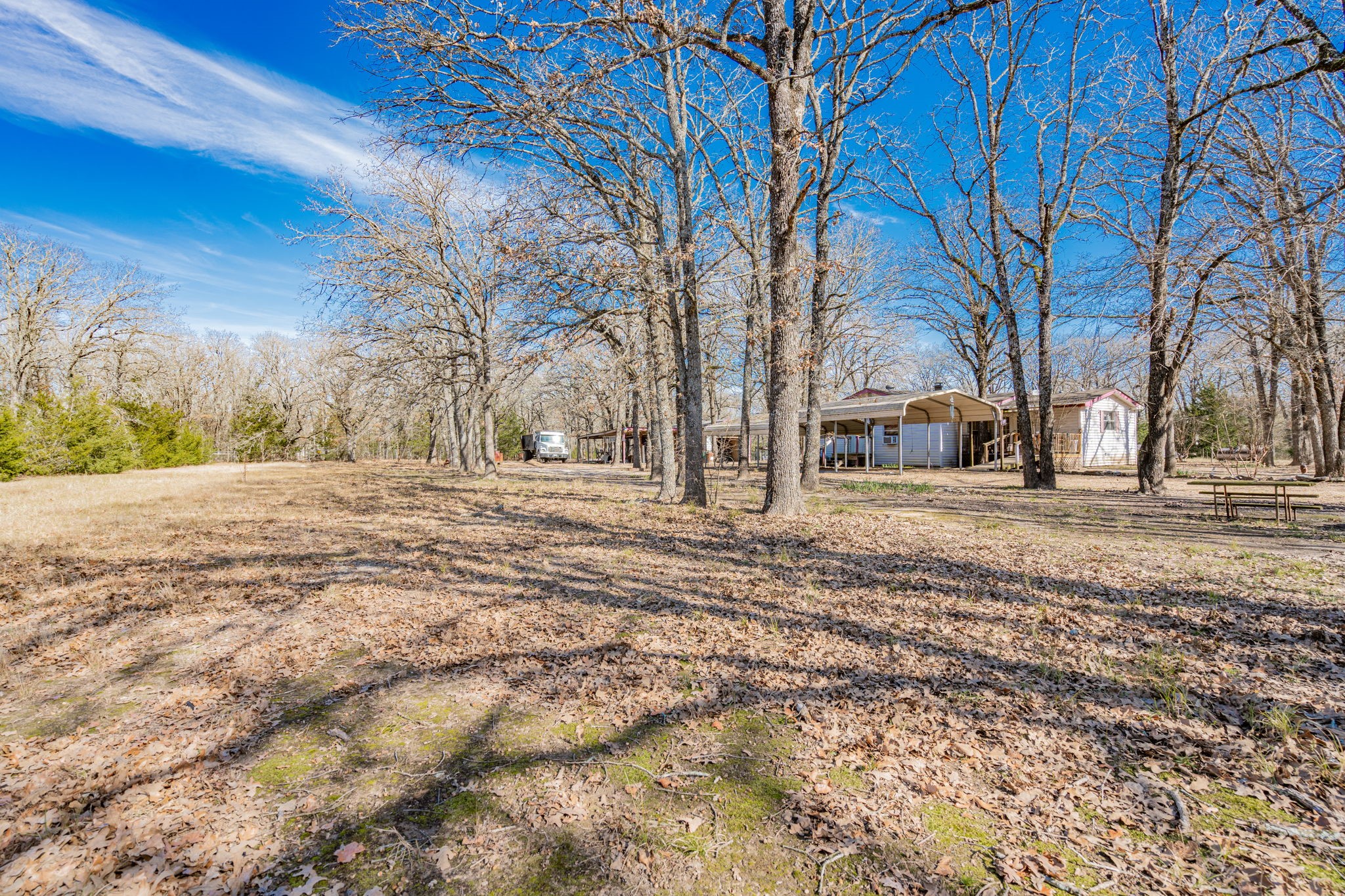 31724 Cane Drive