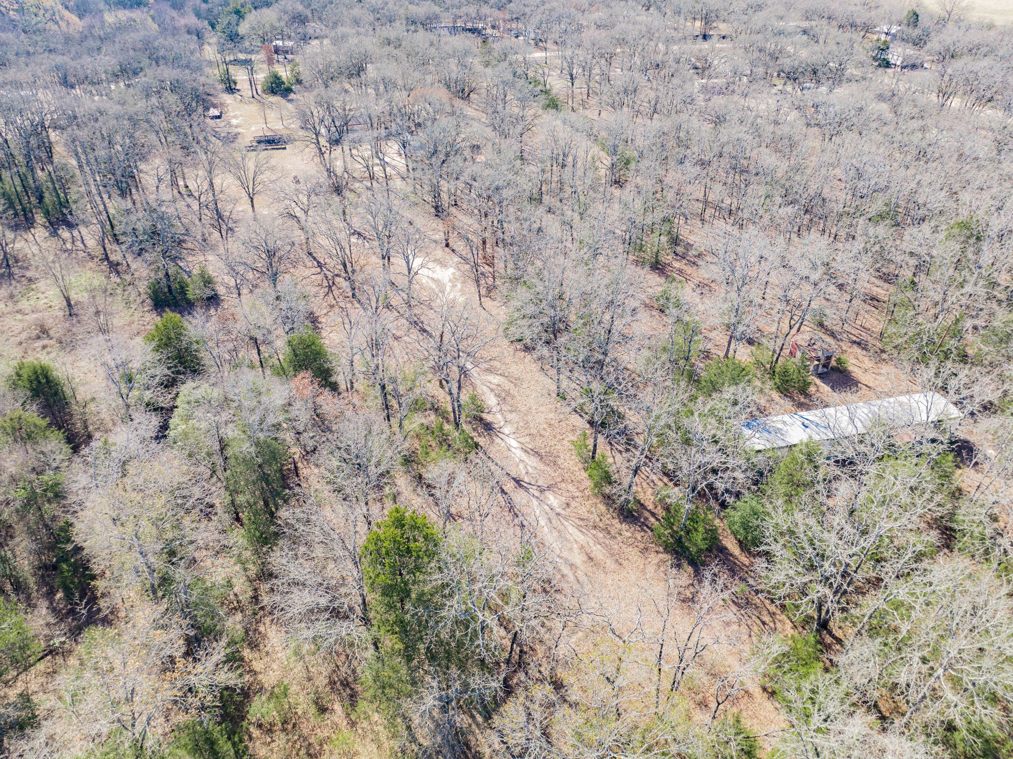 31724 Cane Drive