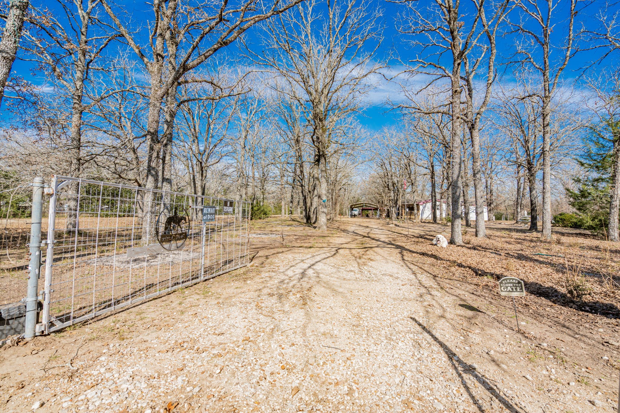 31724 Cane Drive
