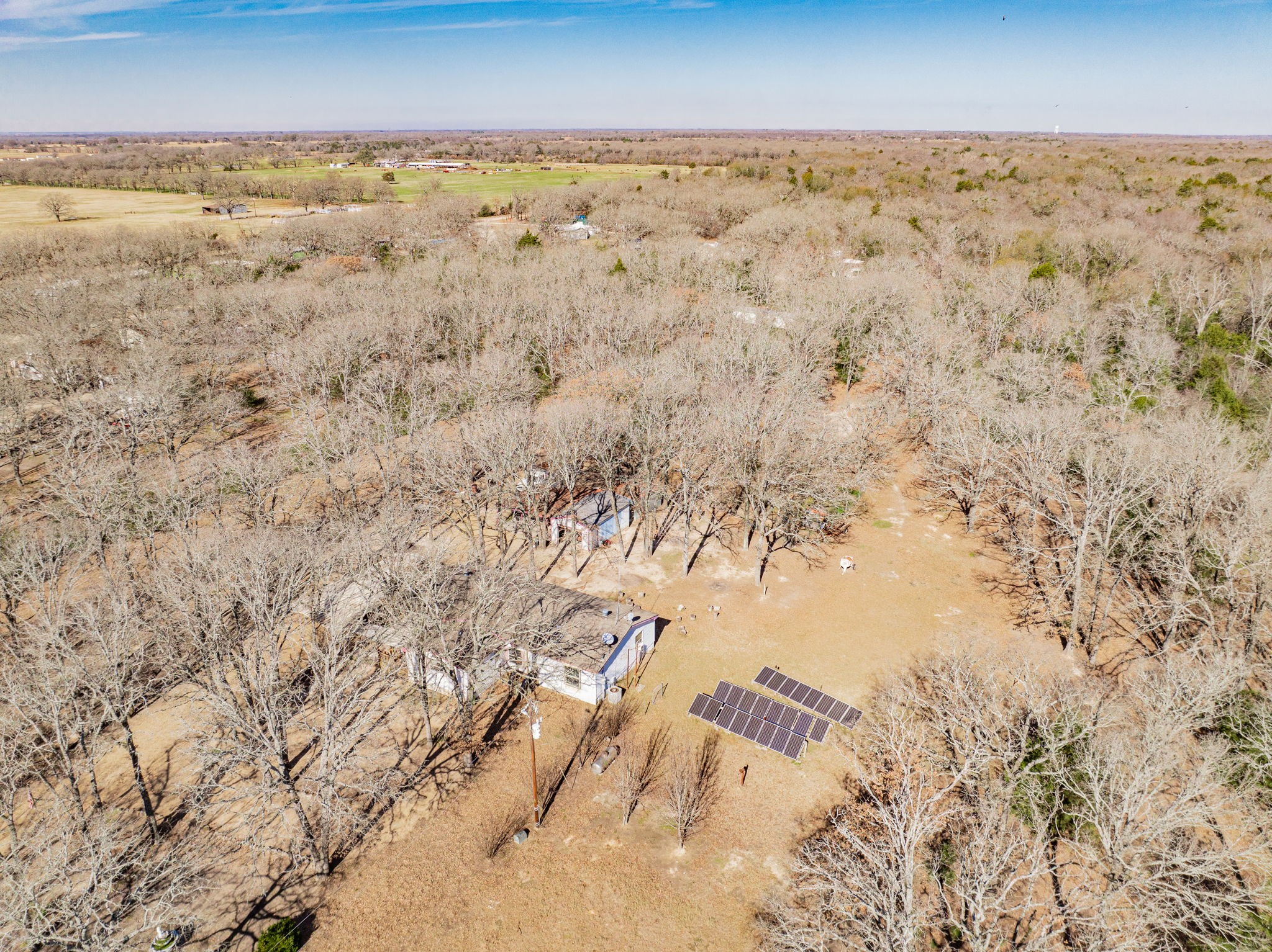 31724 Cane Drive