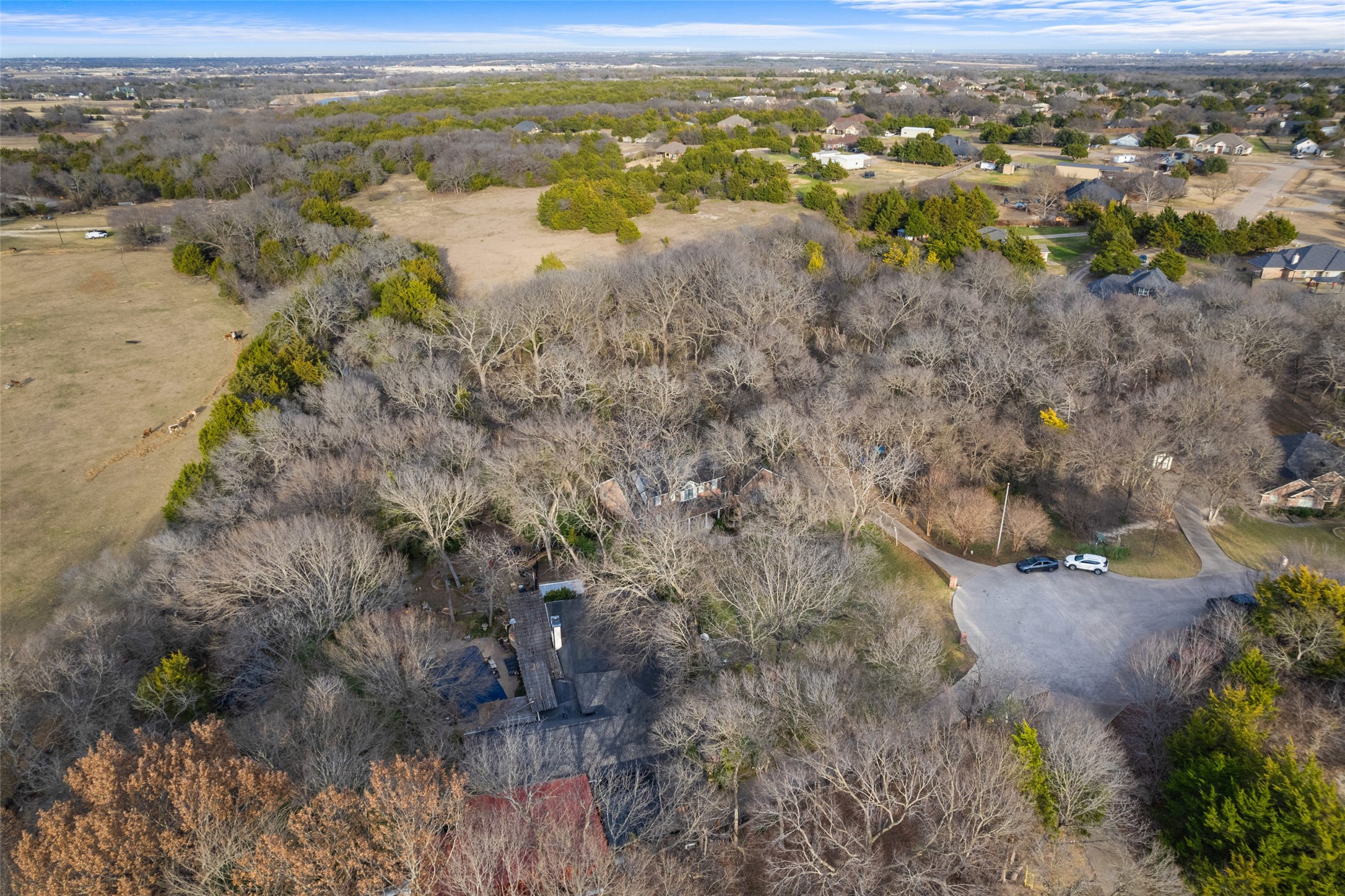 4210 Tracey Court