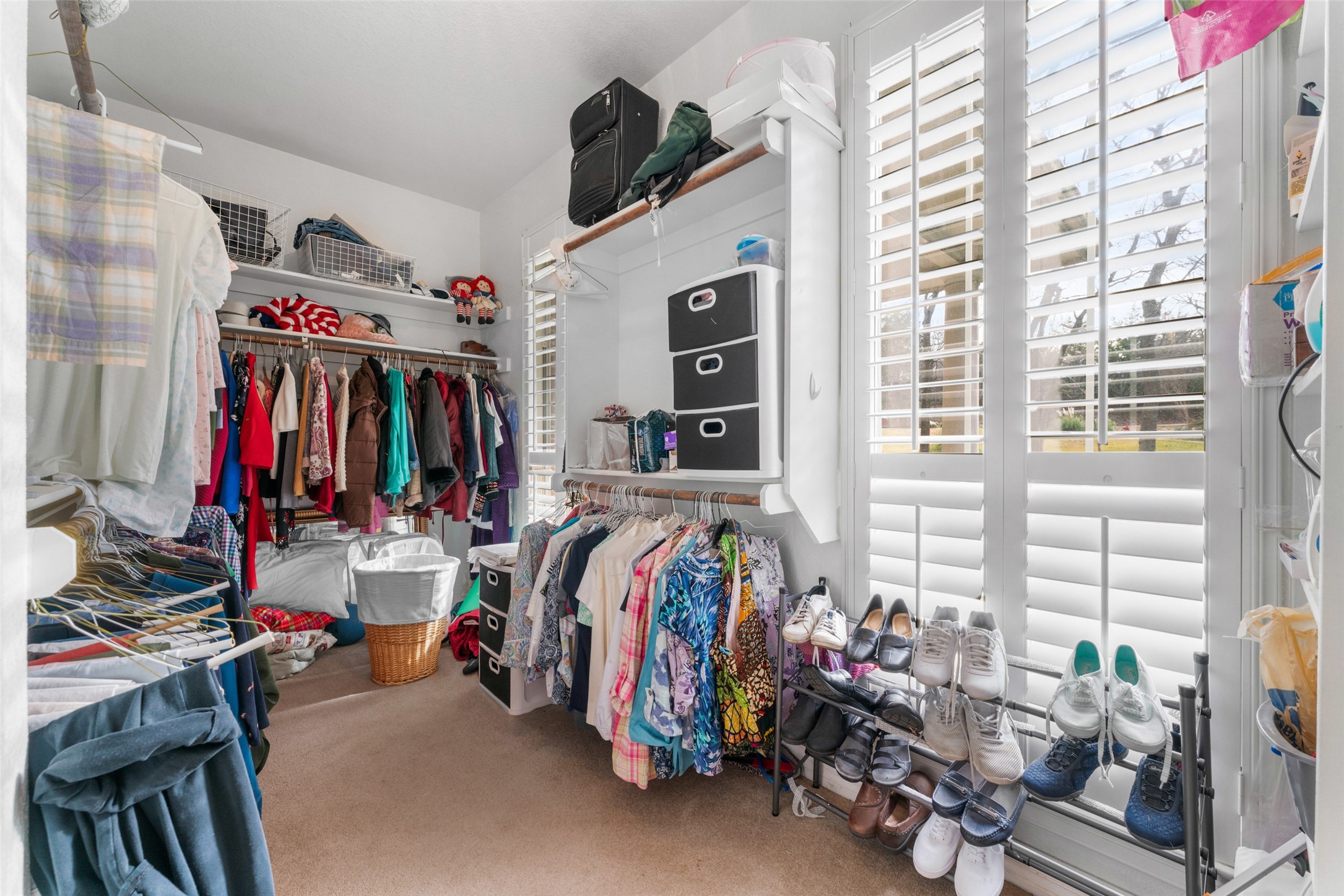 4210 Tracey Court
