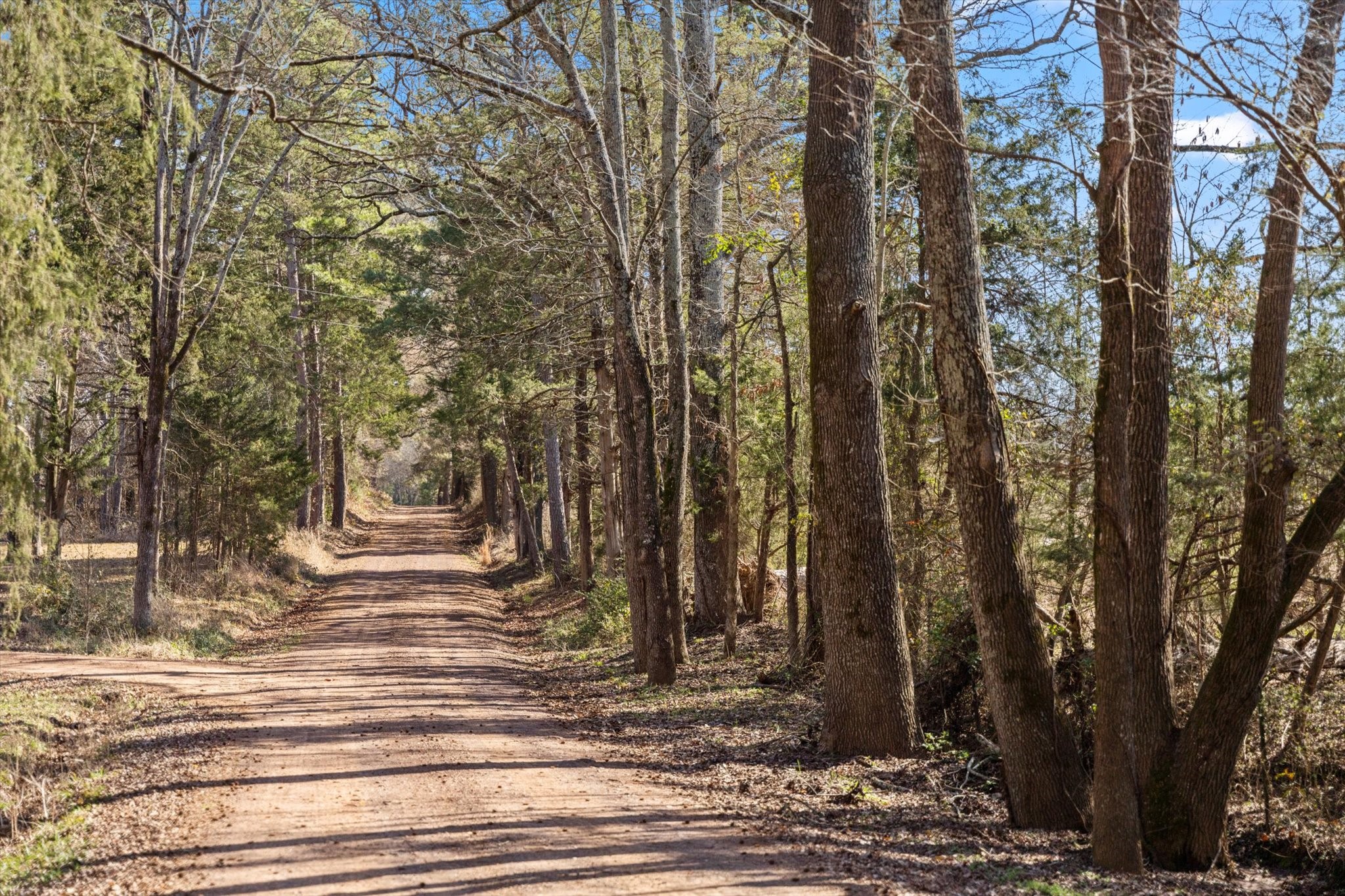 7270 Farm to Market Road 556