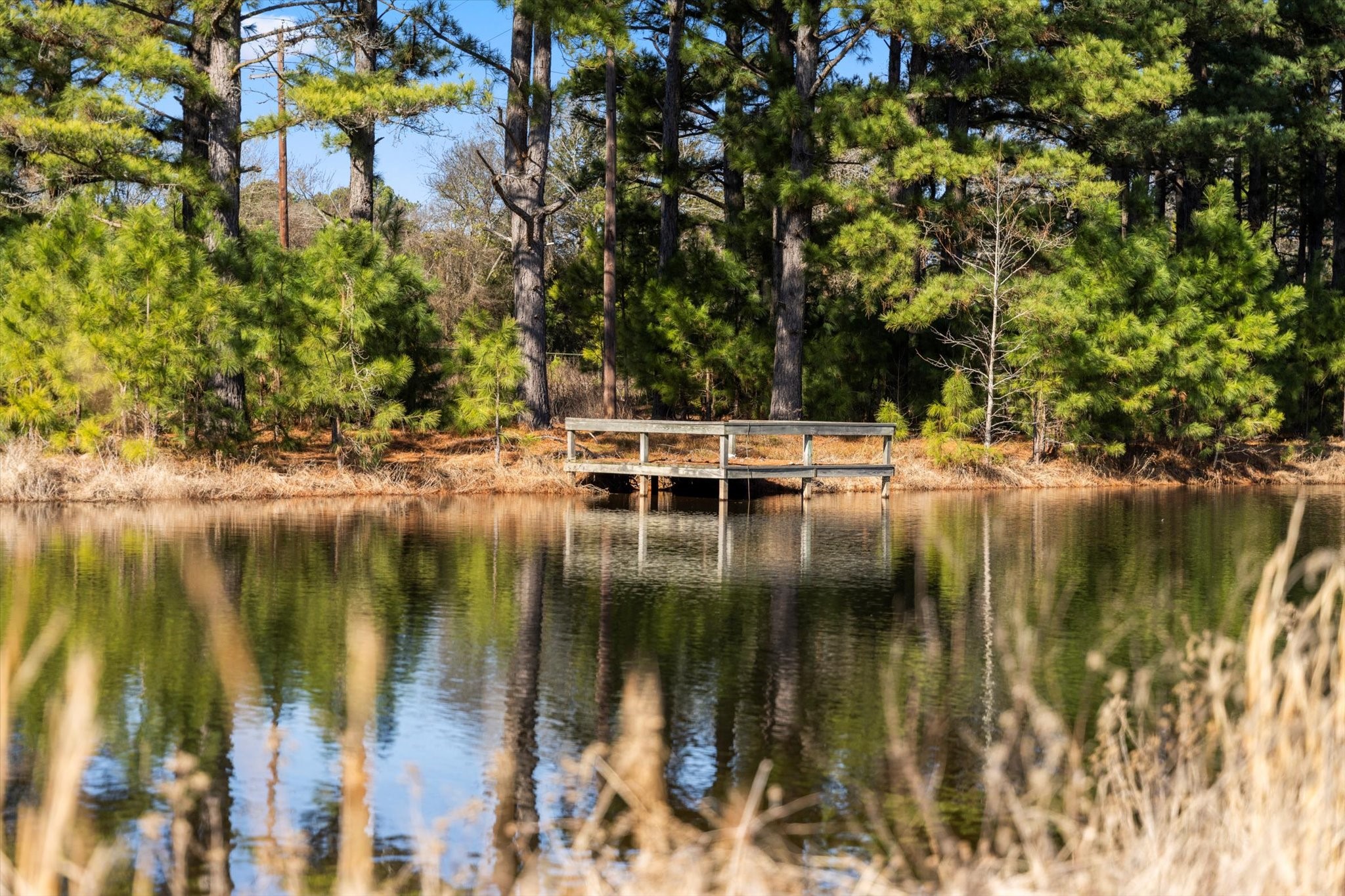 7270 Farm to Market Road 556