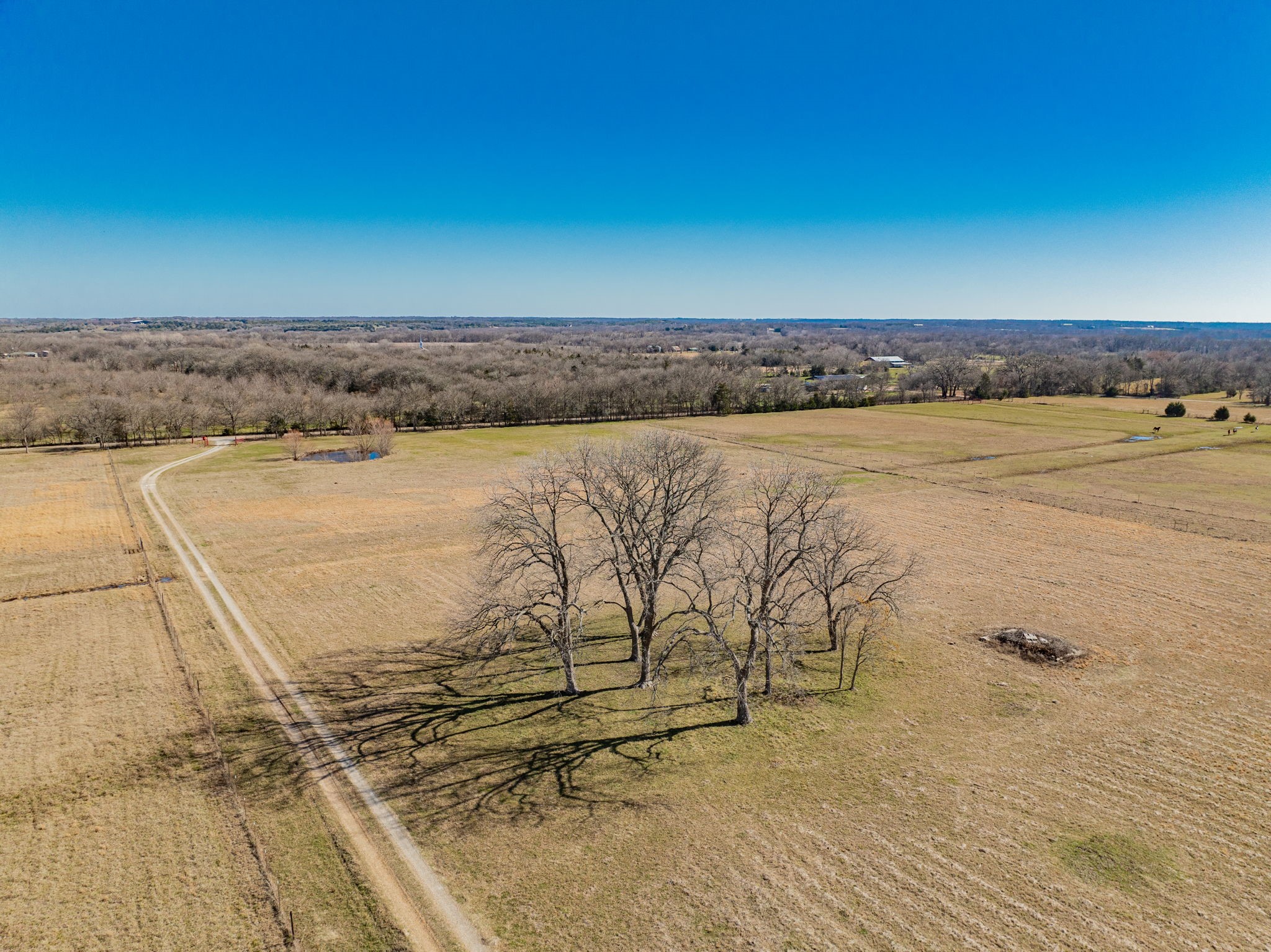 1490 County Road 4205