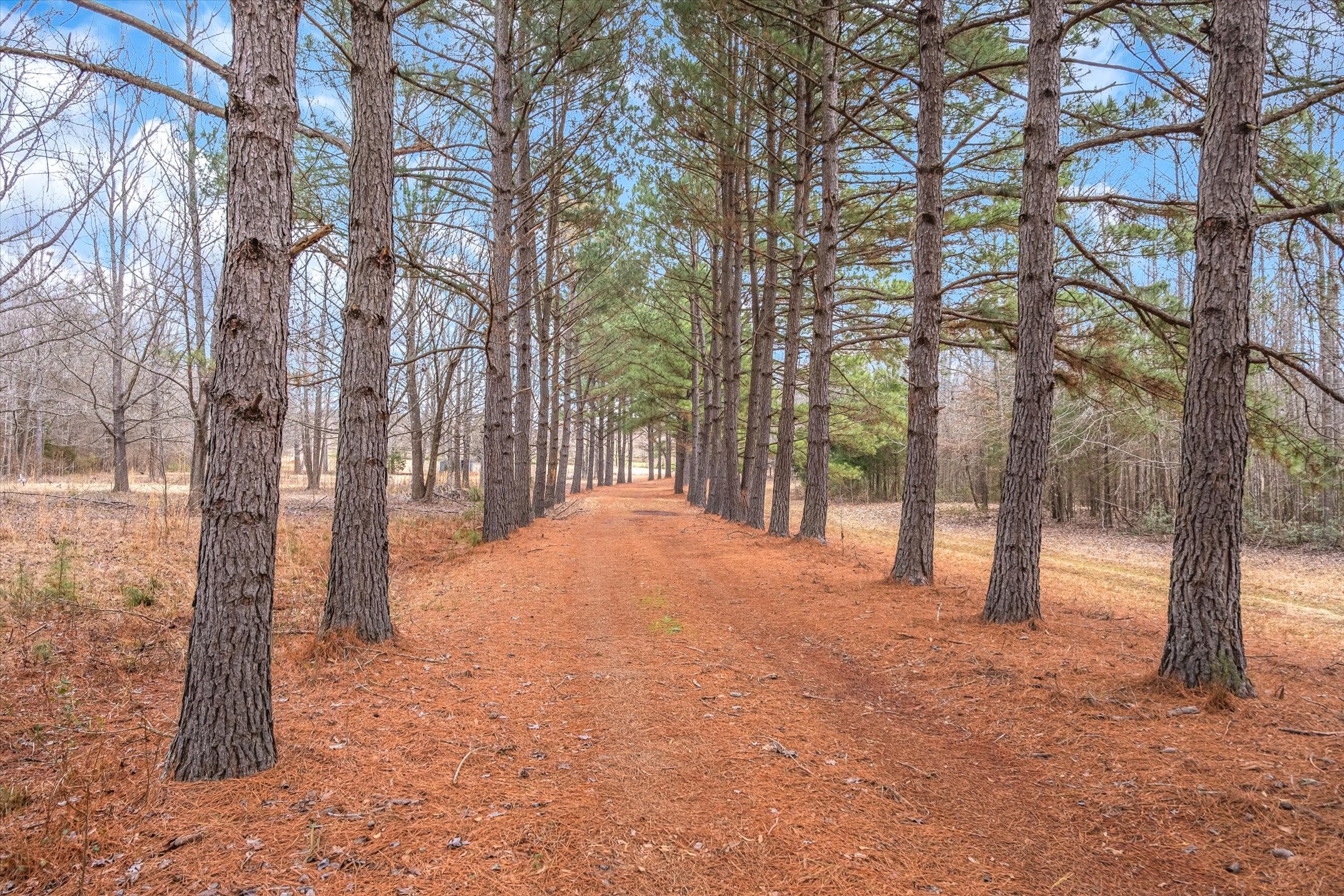 621 Vz County Road 4218