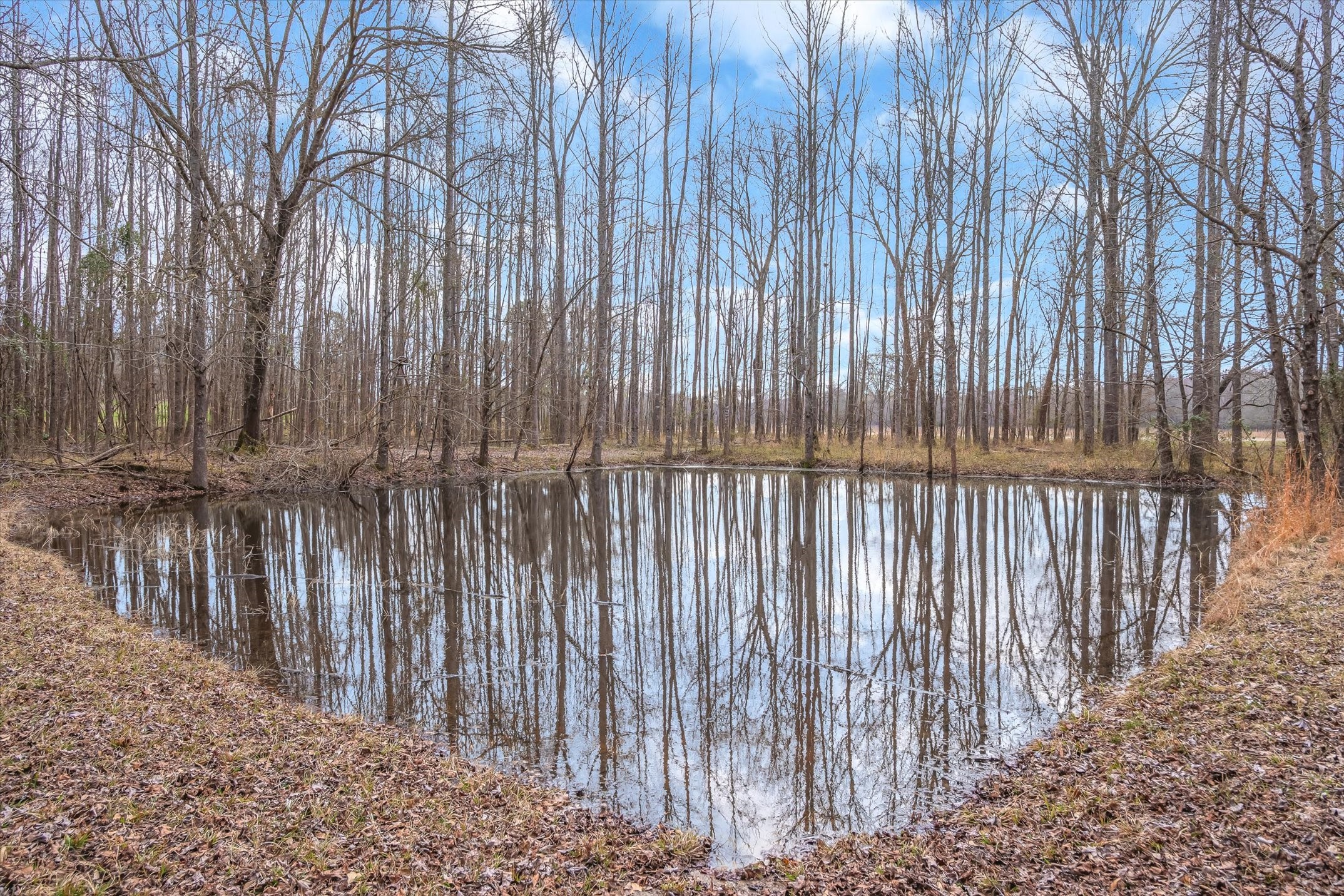 621 Vz County Road 4218