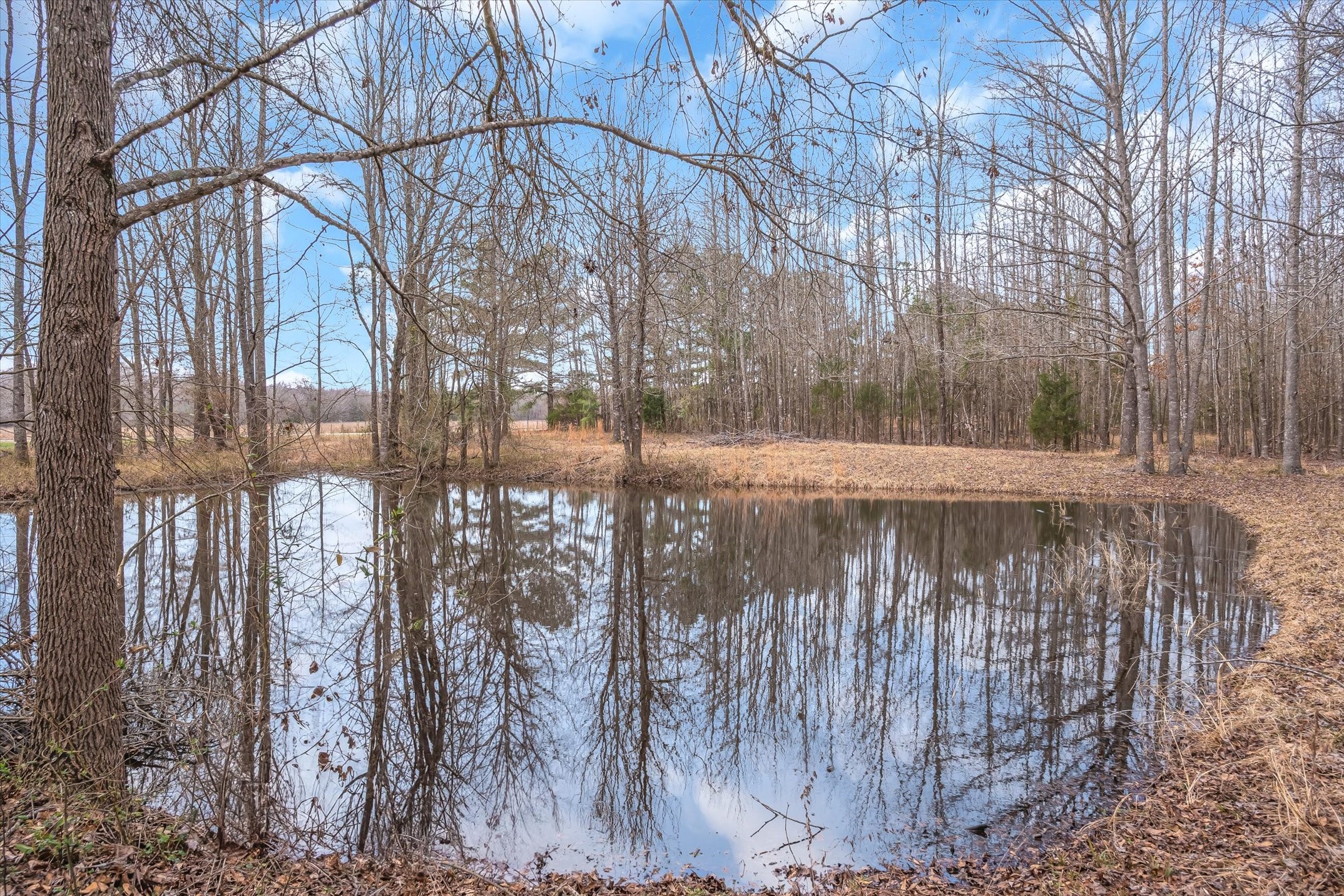 621 Vz County Road 4218